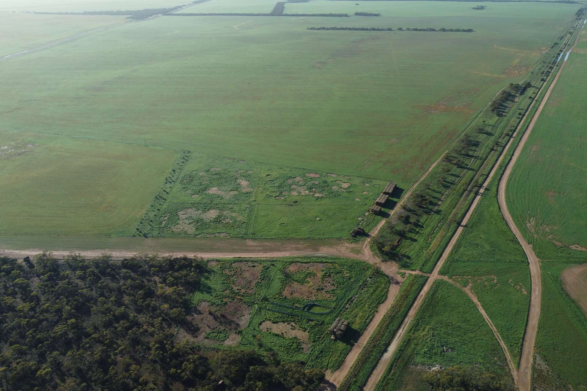 42666 Eyre Highway, Mudamuckla For Sale by Farmbuy.com - image 4
