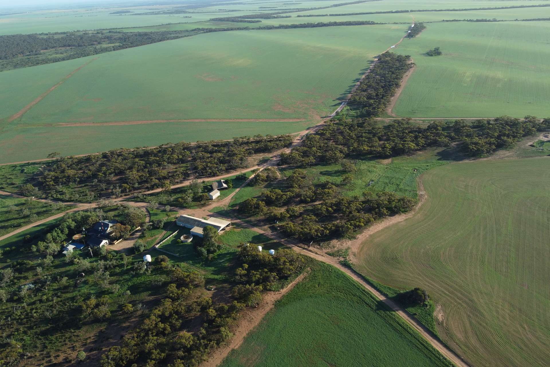 42666 Eyre Highway, Mudamuckla For Sale by Farmbuy.com - image 3
