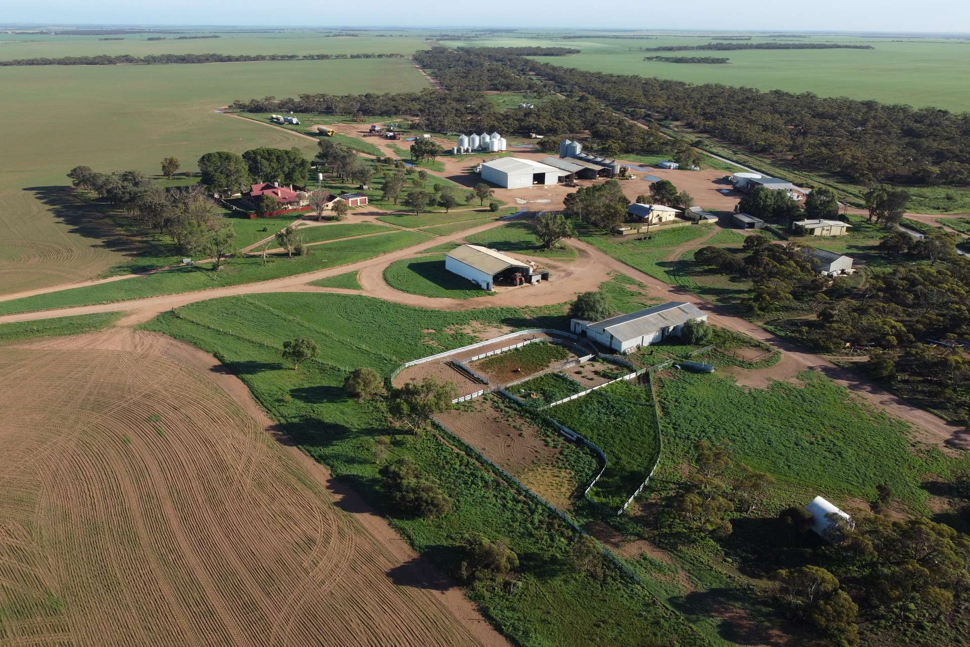 42666 Eyre Highway, Mudamuckla For Sale by Farmbuy.com - image 1