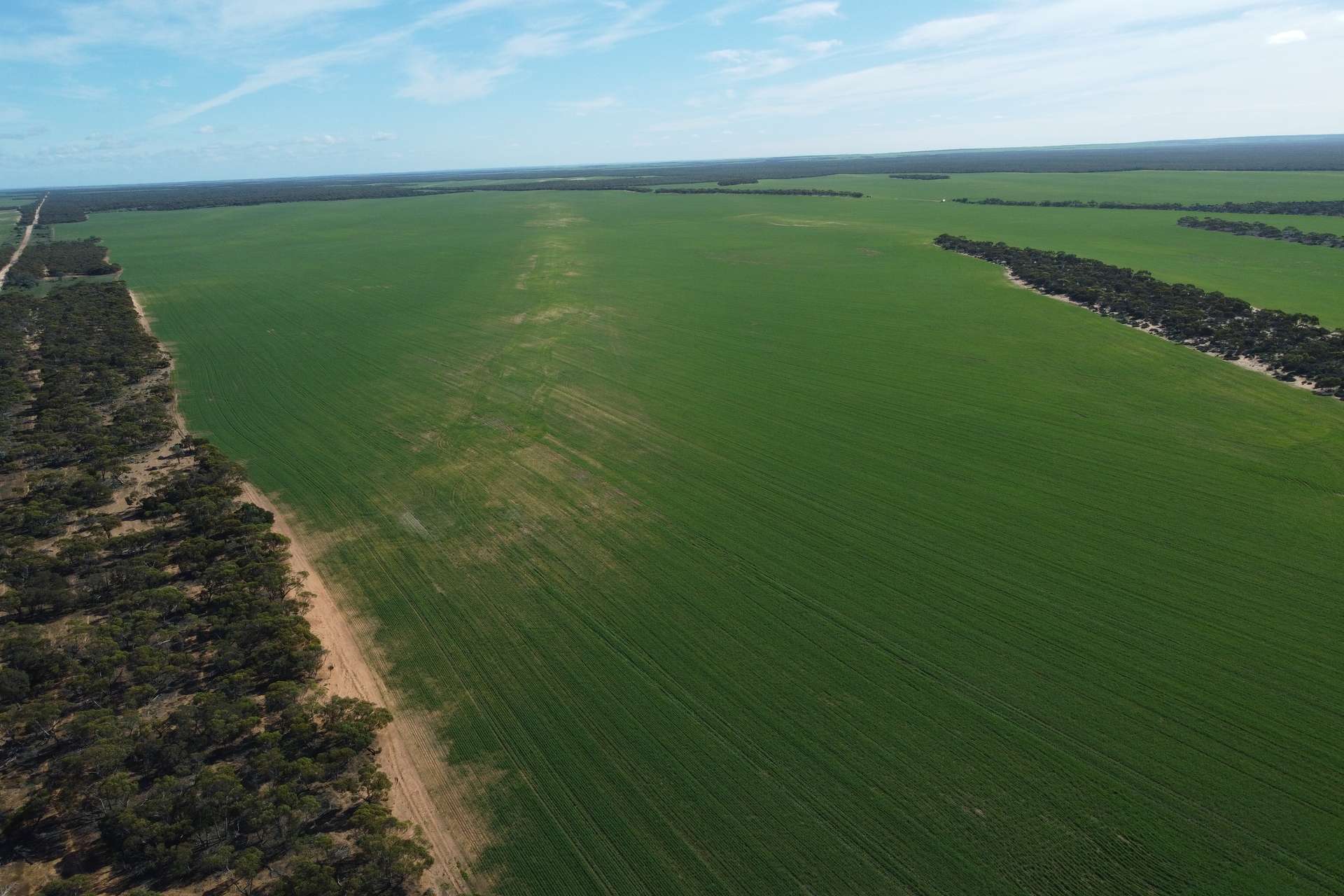 42666 Eyre Highway, Mudamuckla For Sale by Farmbuy.com - image 17