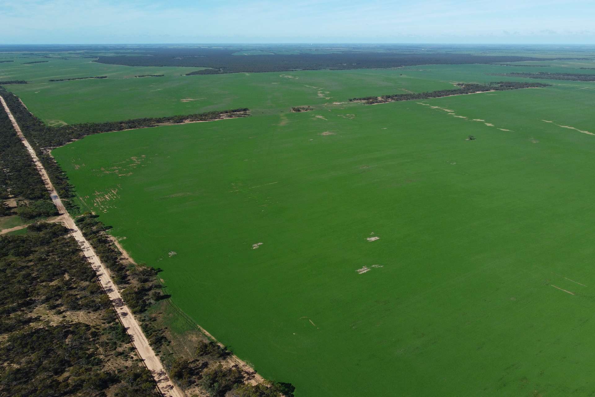 42666 Eyre Highway, Mudamuckla For Sale by Farmbuy.com - image 16