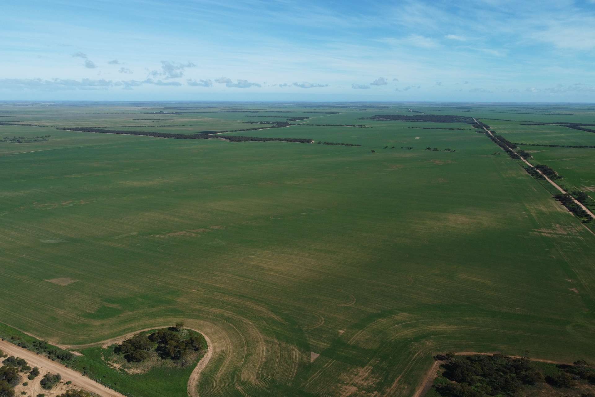 42666 Eyre Highway, Mudamuckla For Sale by Farmbuy.com - image 10