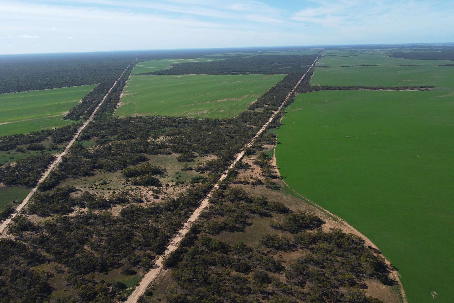 42666 Eyre Highway, Mudamuckla For Sale by Farmbuy.com - image 15