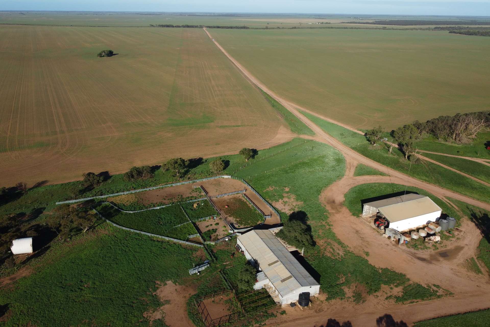 42666 Eyre Highway, Mudamuckla For Sale by Farmbuy.com - image 5