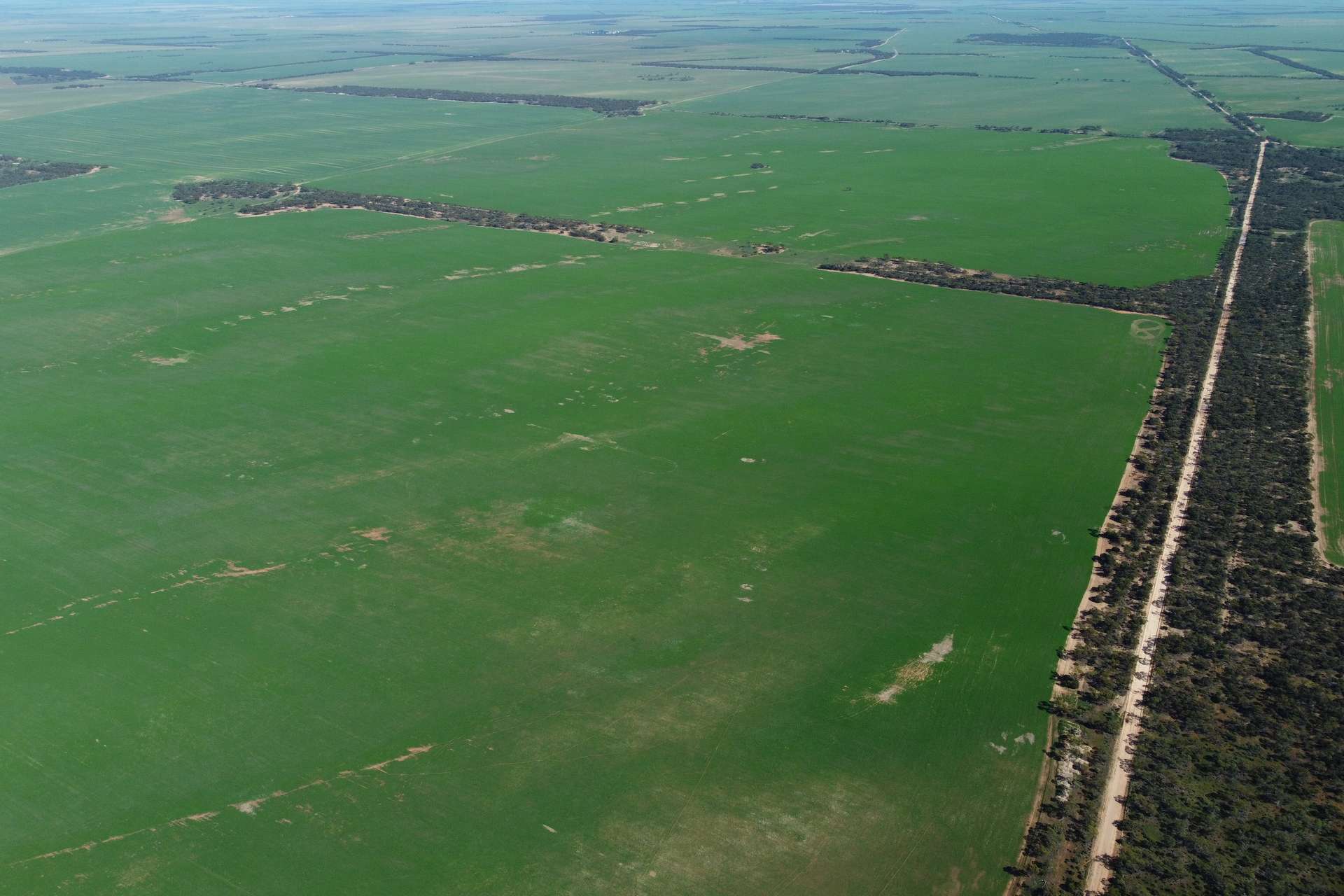 42666 Eyre Highway, Mudamuckla For Sale by Farmbuy.com - image 14