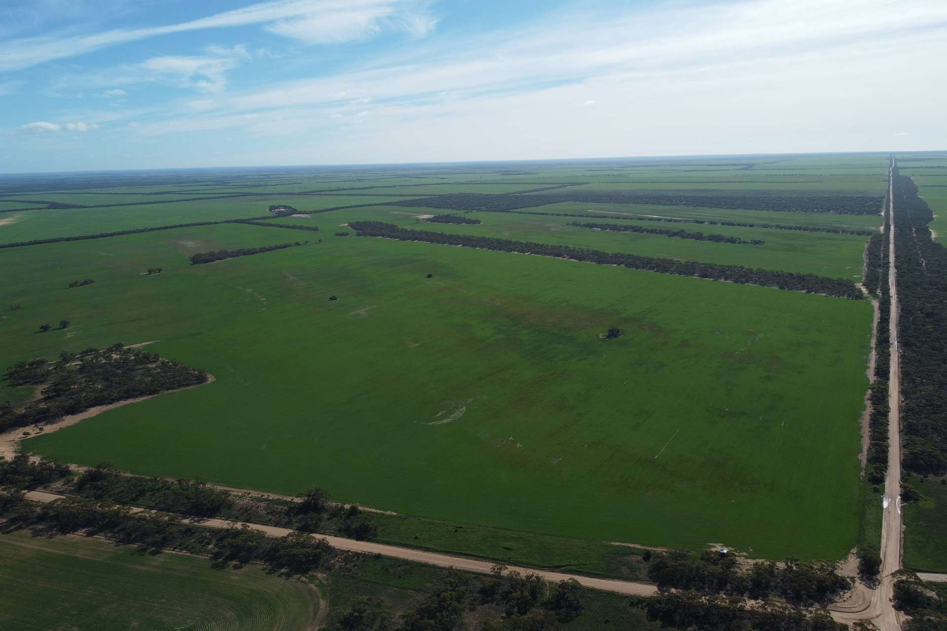 42666 Eyre Highway, Mudamuckla For Sale by Farmbuy.com - image 12