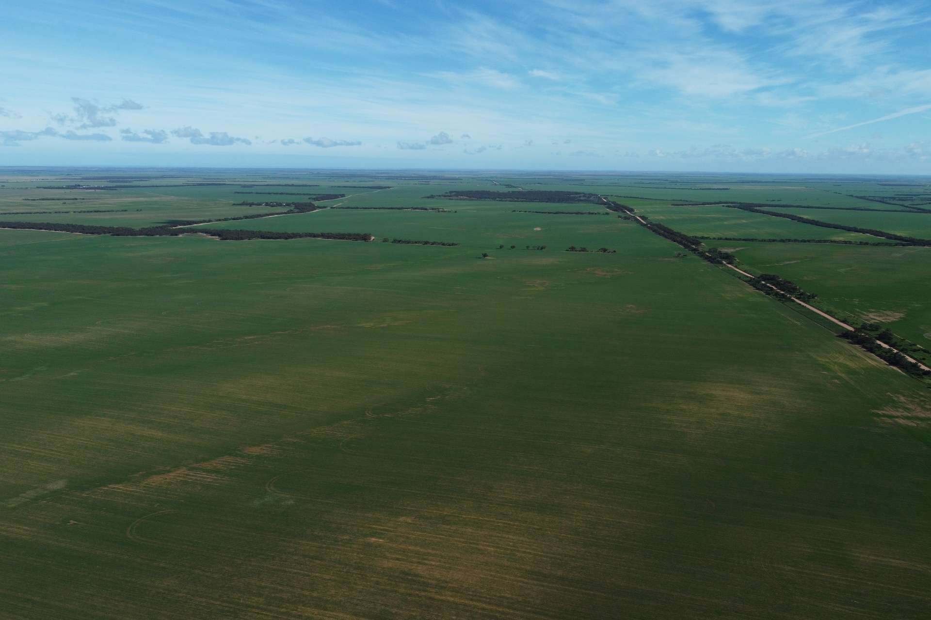 42666 Eyre Highway, Mudamuckla For Sale by Farmbuy.com - image 11