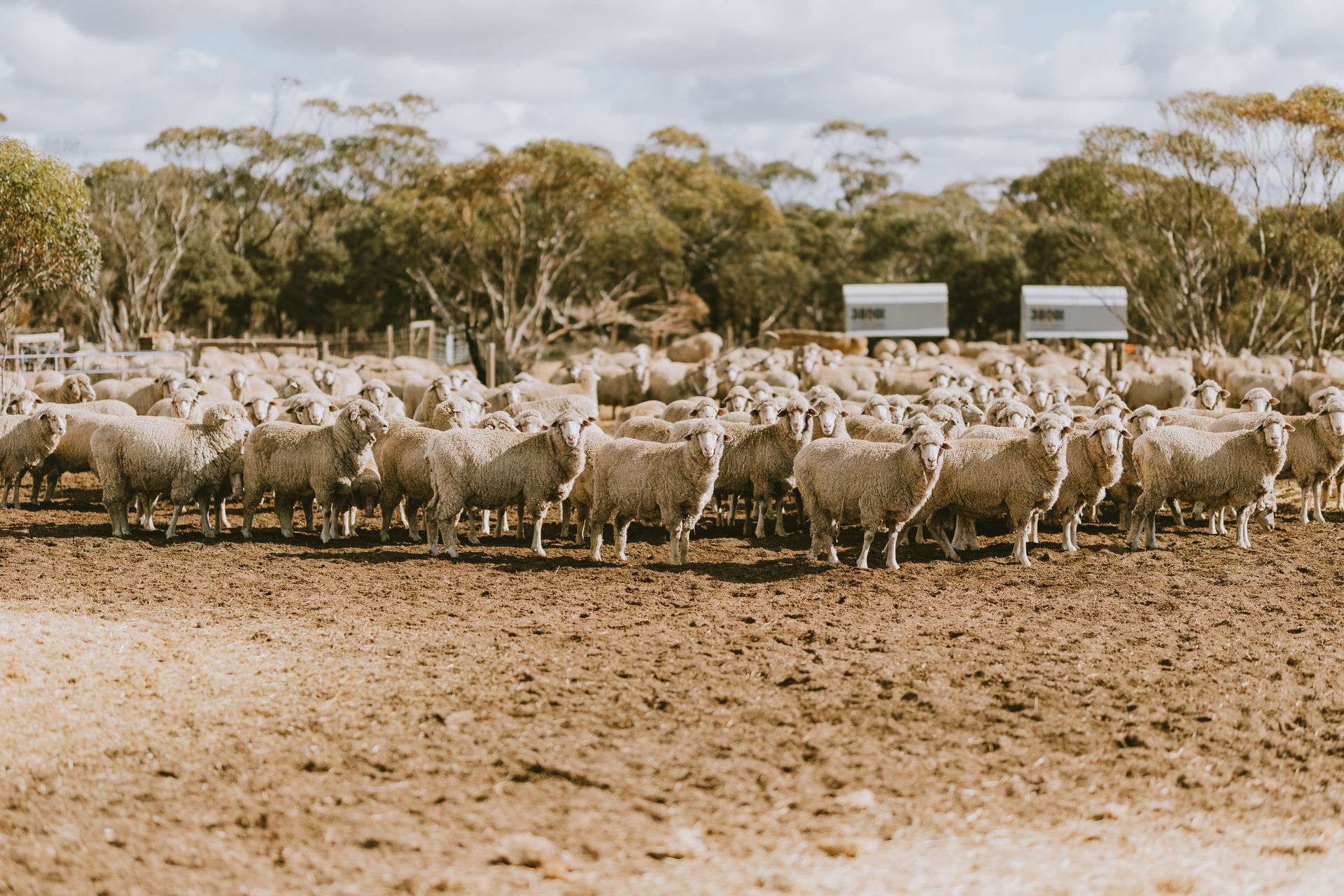 42666 Eyre Highway, Mudamuckla For Sale by Farmbuy.com - image 8