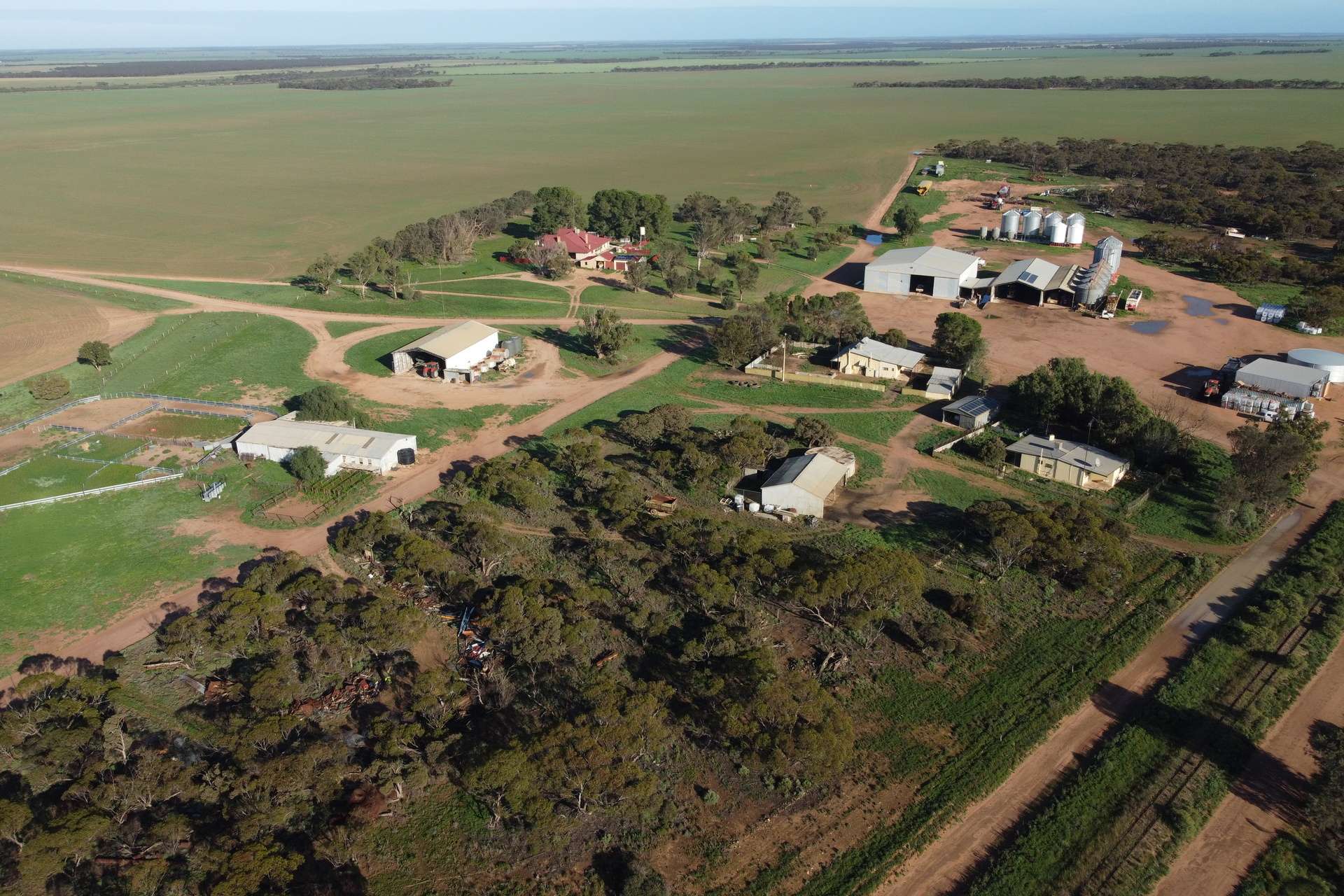 42666 Eyre Highway, Mudamuckla For Sale by Farmbuy.com - image 2
