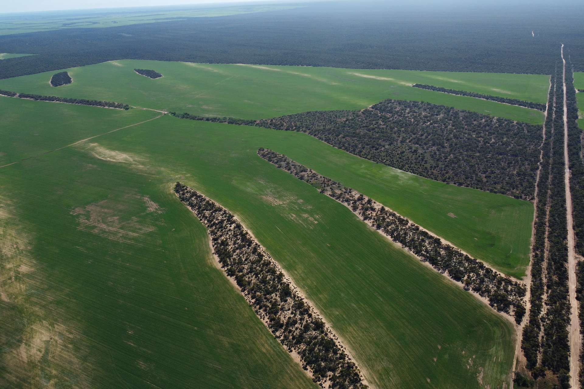 42666 Eyre Highway, Mudamuckla For Sale by Farmbuy.com - image 18