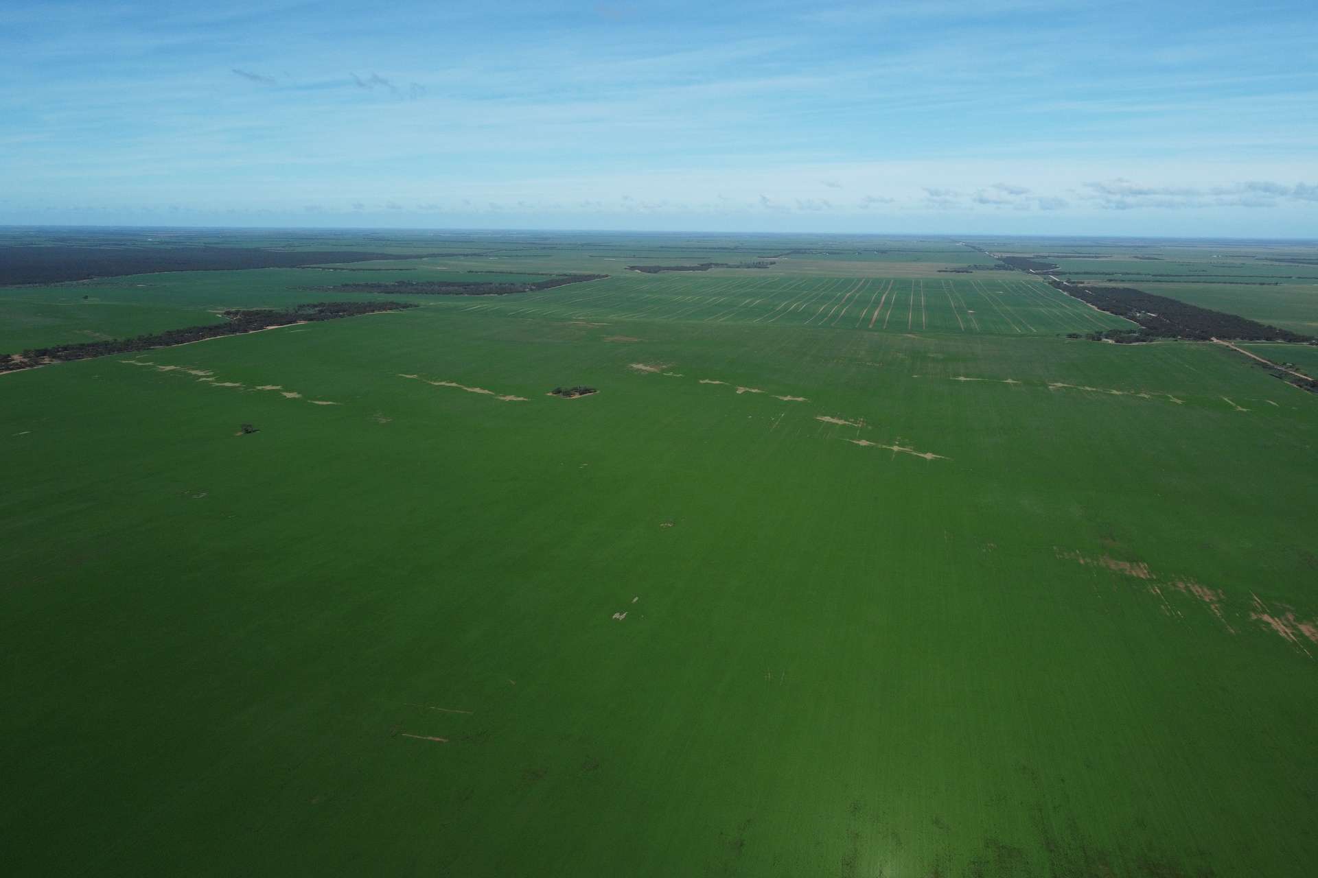 42666 Eyre Highway, Mudamuckla For Sale by Farmbuy.com - image 9