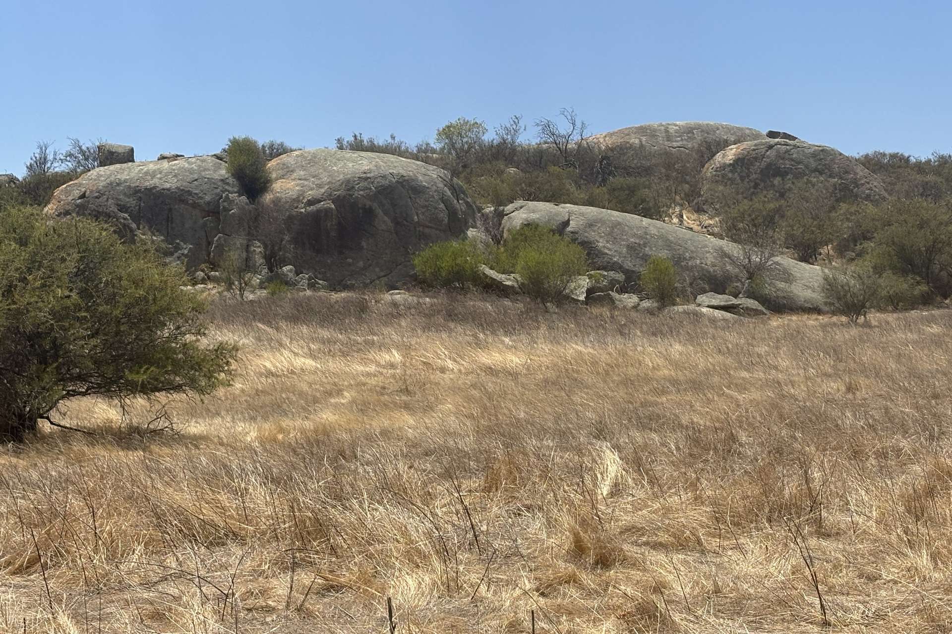 Lot 65 Forrester Road, Mount Erin For Sale by Farmbuy.com - image 22