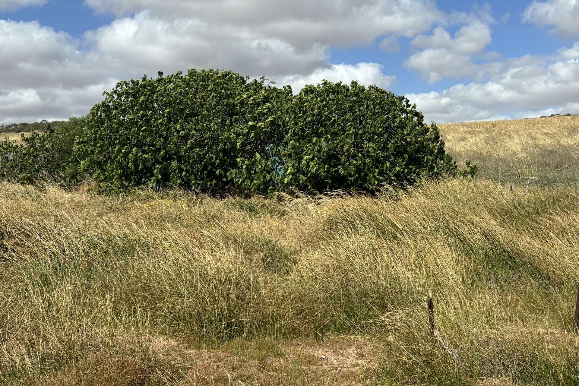 Lot 65 Forrester Road, Mount Erin For Sale by Farmbuy.com - image 9