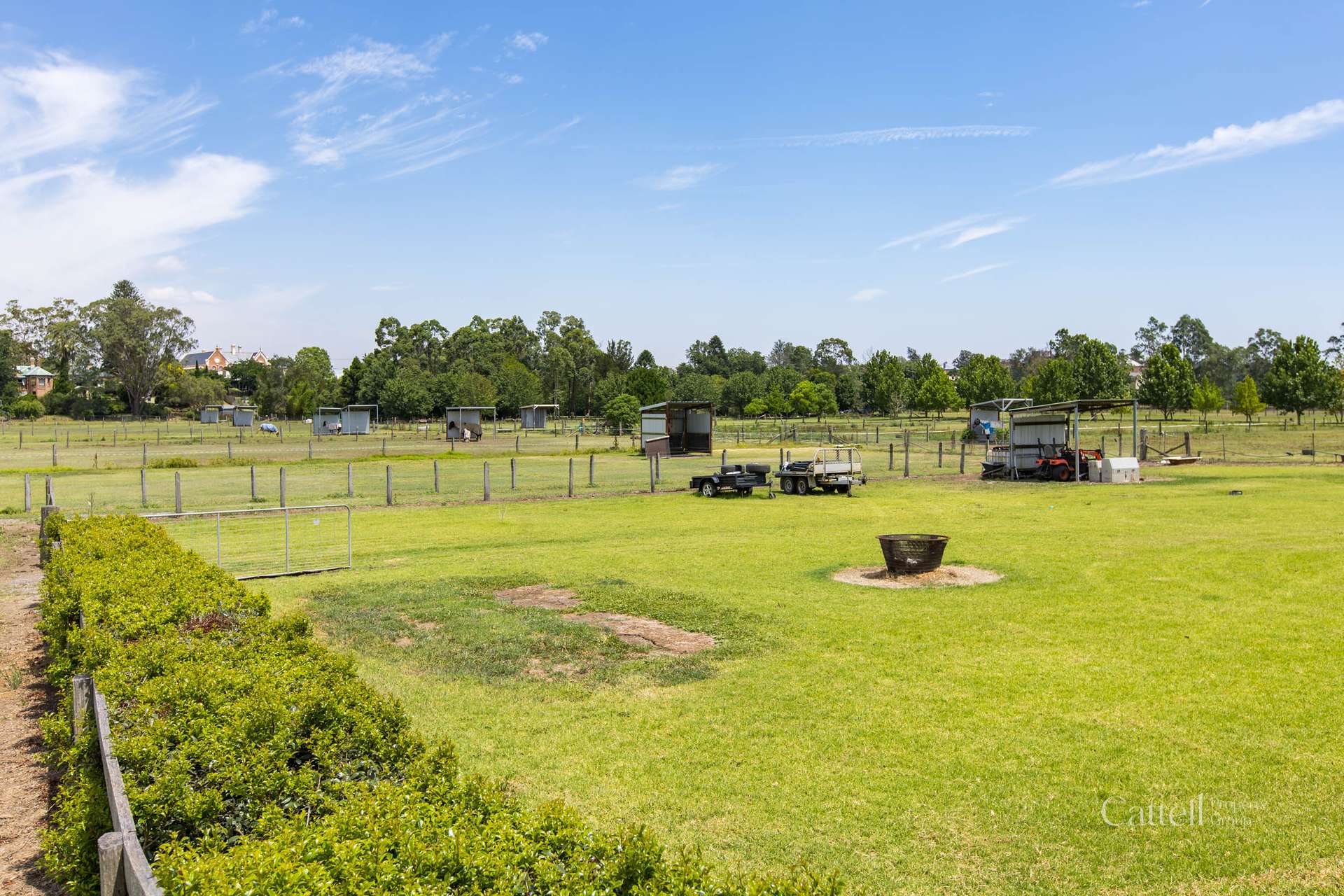 50 Bull Street, Maitland For Sale by Farmbuy.com - image 9