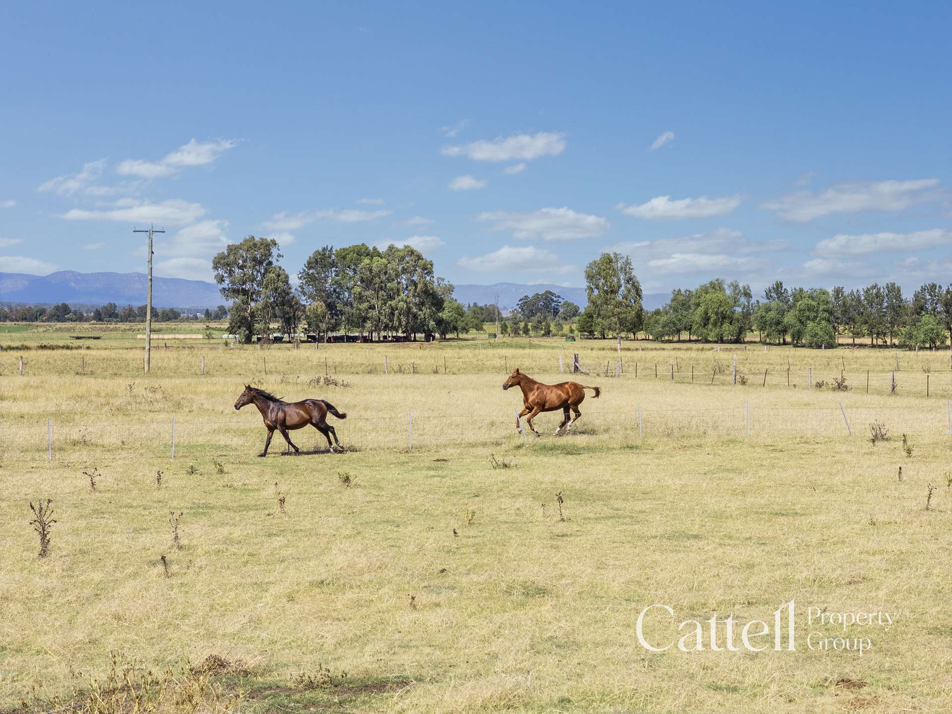 586 Glendon Road, Singleton For Sale by Farmbuy.com - image 6