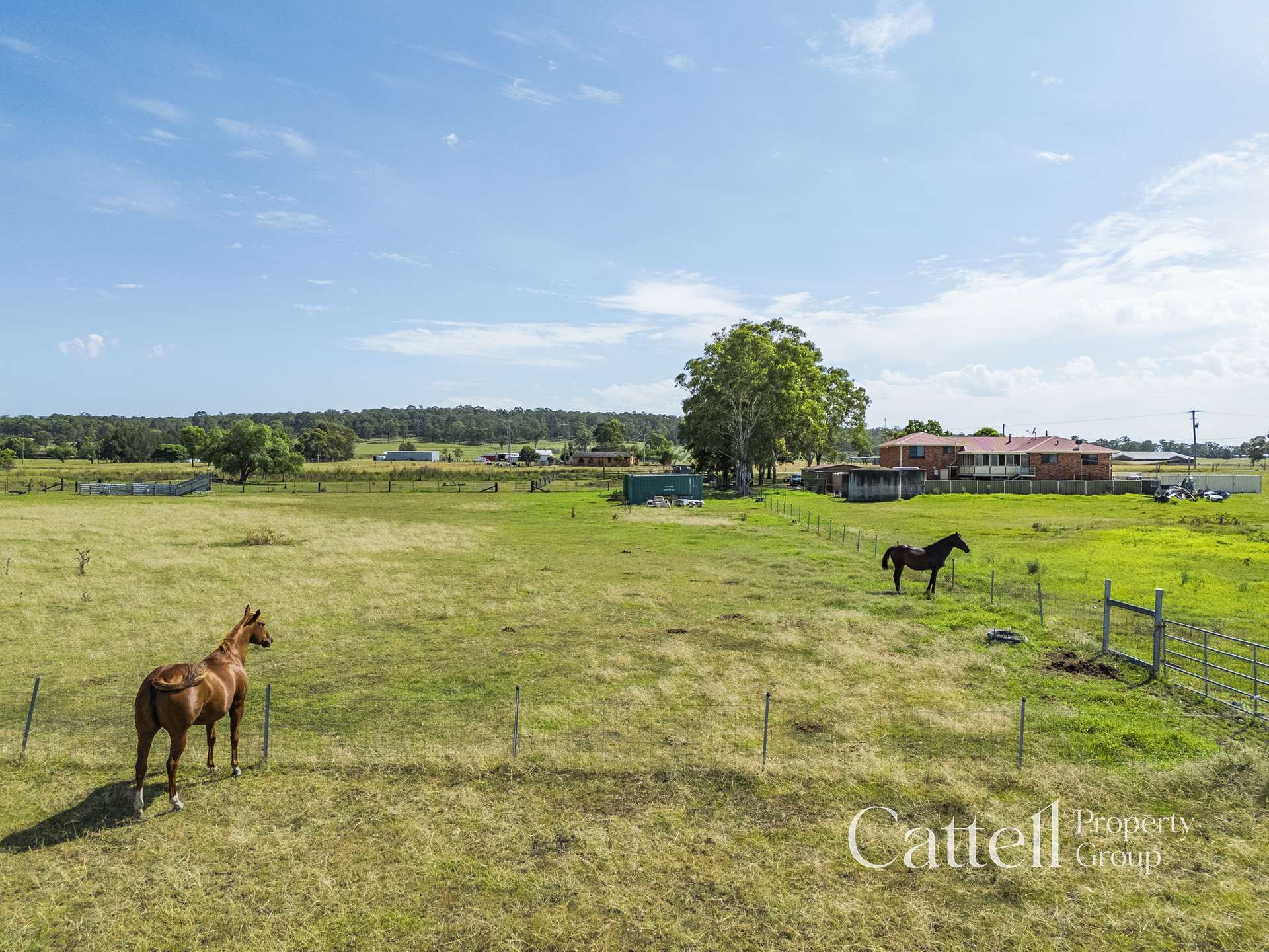 586 Glendon Road, Singleton For Sale by Farmbuy.com - image 12