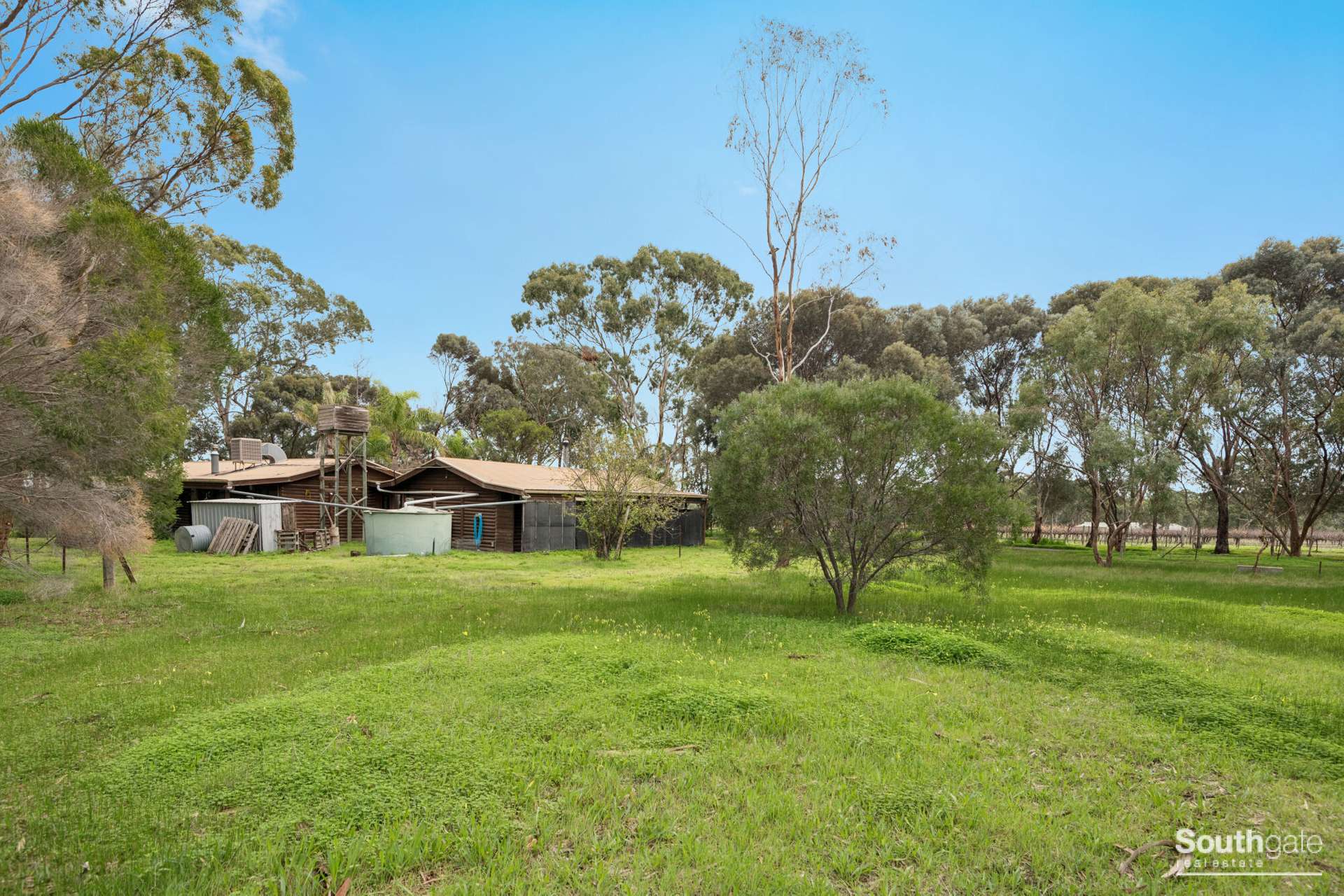 139 Oakley Road, McLaren Vale For Sale by Farmbuy.com - image 12