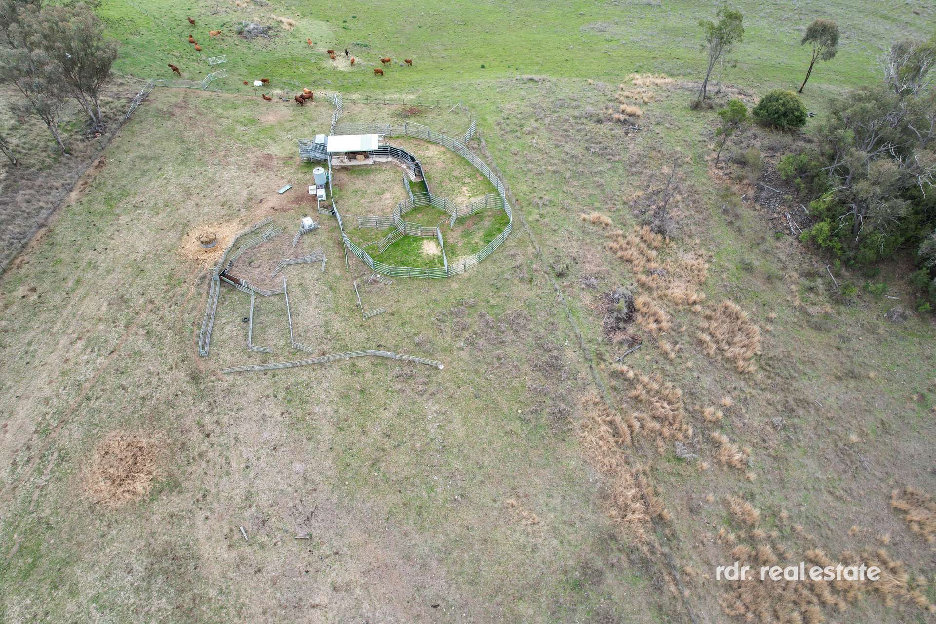 2591 Elsmore Road, Inverell For Sale by Farmbuy.com - image 4