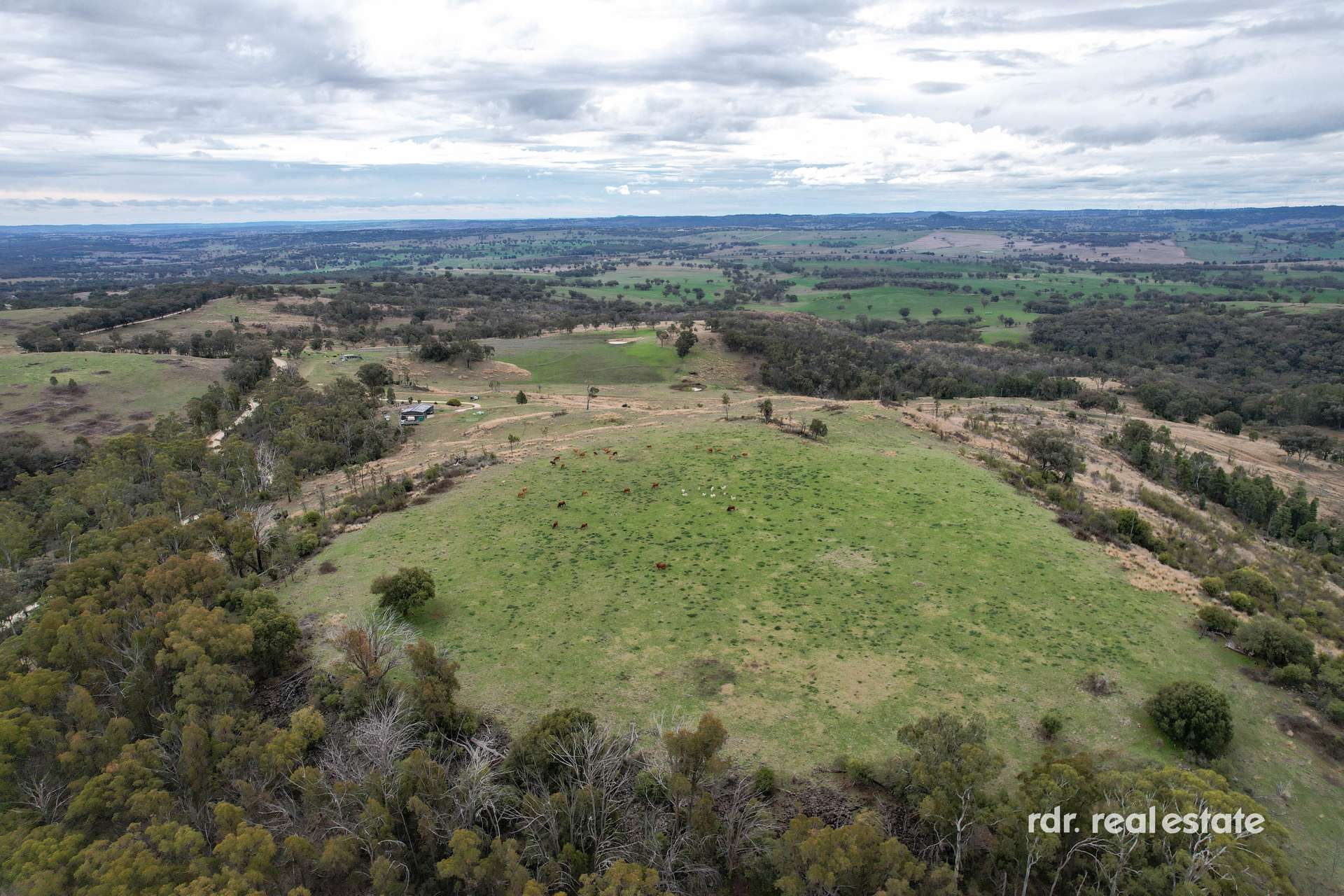 2591 Elsmore Road, Inverell For Sale by Farmbuy.com - image 7