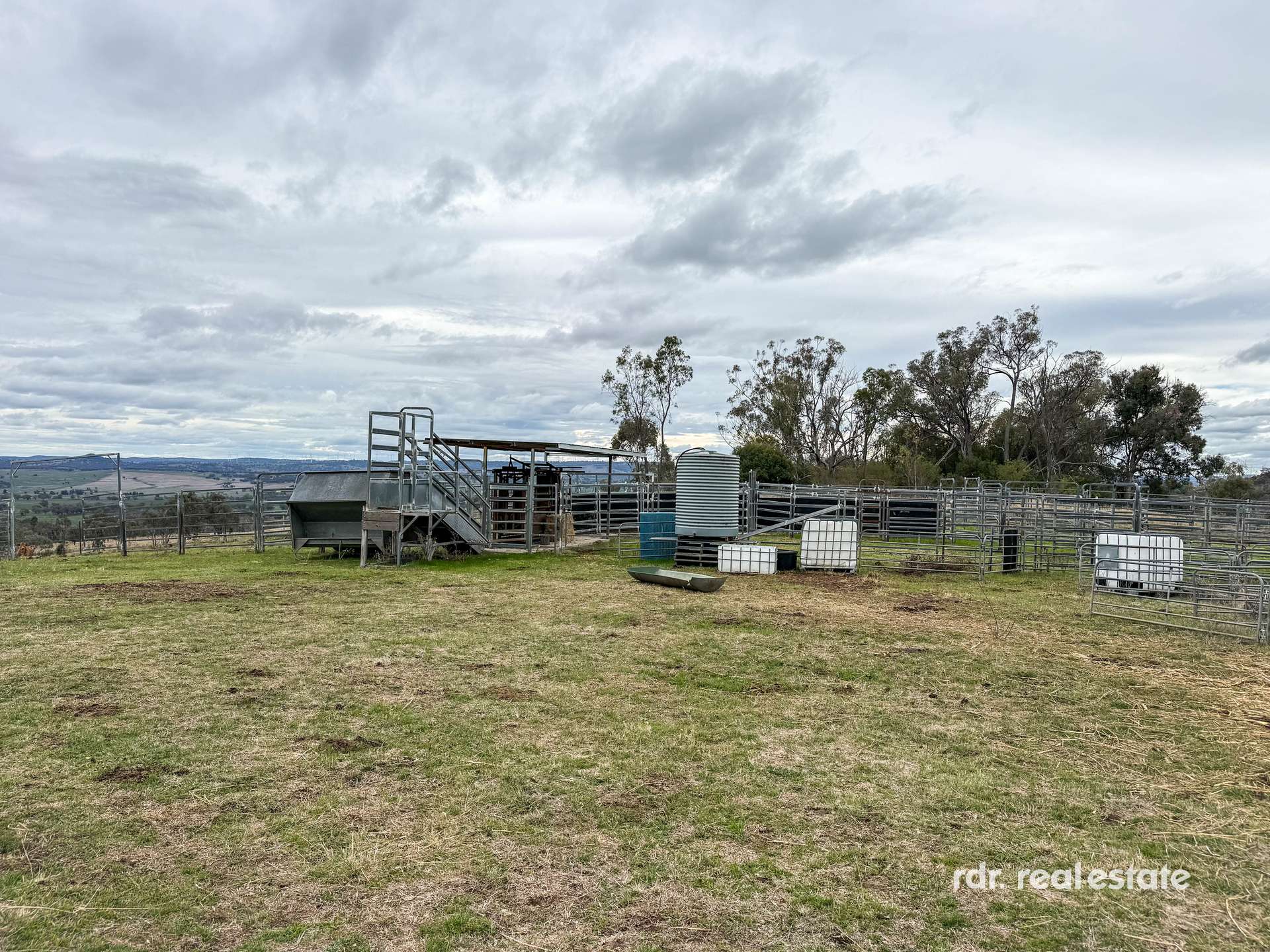 2591 Elsmore Road, Inverell For Sale by Farmbuy.com - image 13