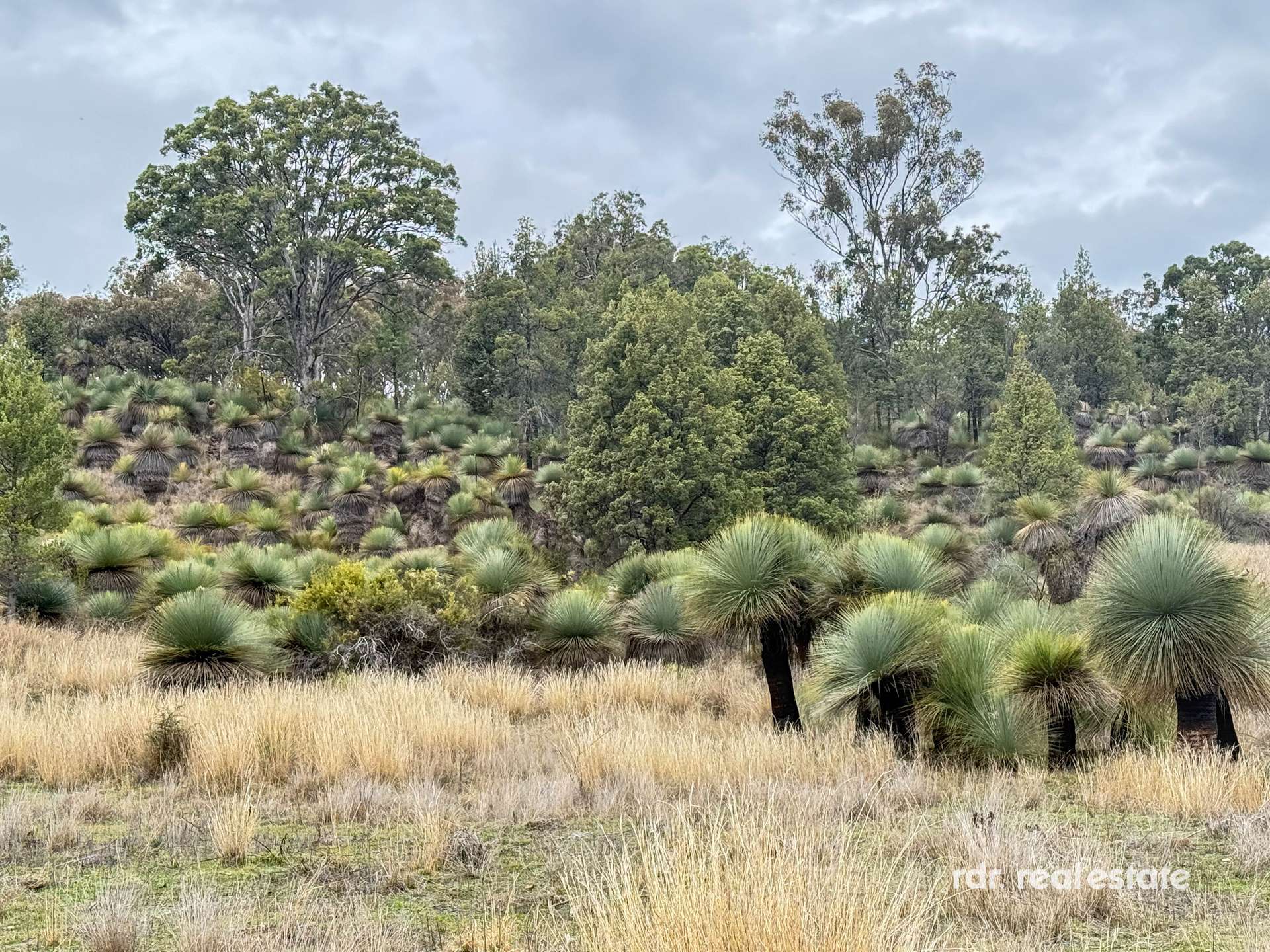 2591 Elsmore Road, Inverell For Sale by Farmbuy.com - image 16