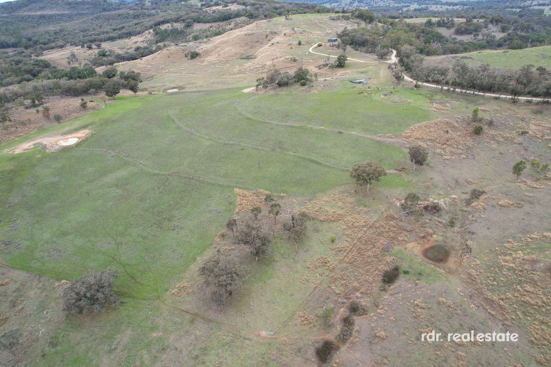 2591 Elsmore Road, Inverell For Sale by Farmbuy.com - image 8