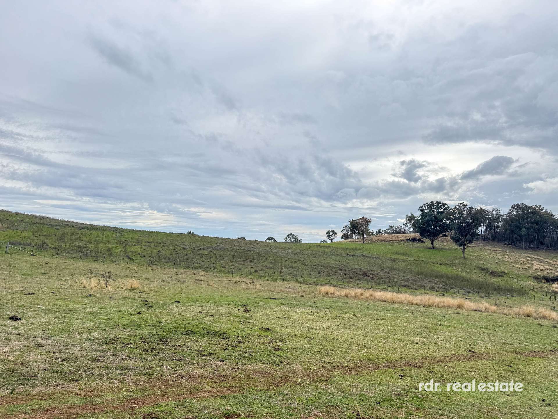 2591 Elsmore Road, Inverell For Sale by Farmbuy.com - image 15