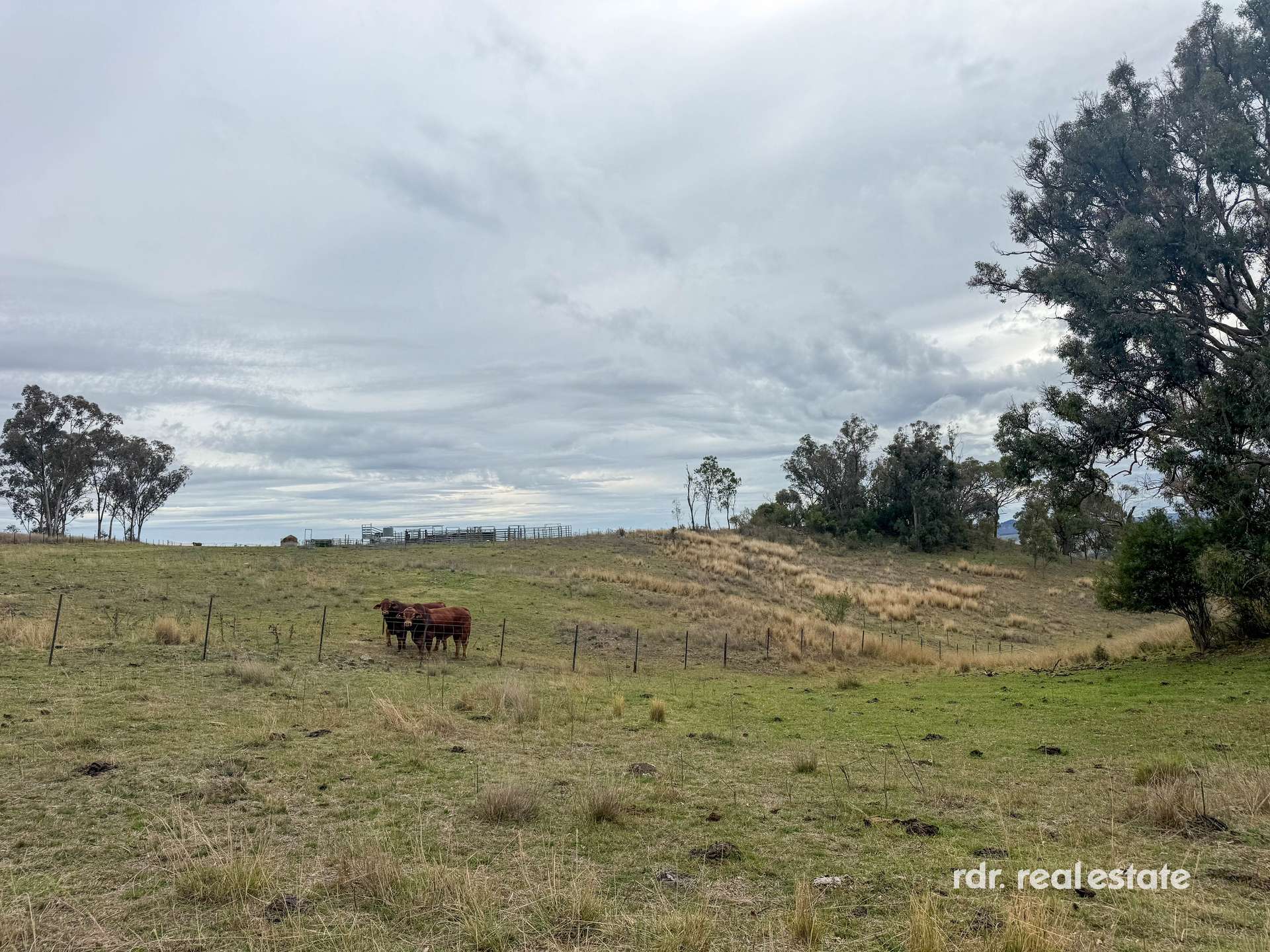 2591 Elsmore Road, Inverell For Sale by Farmbuy.com - image 11