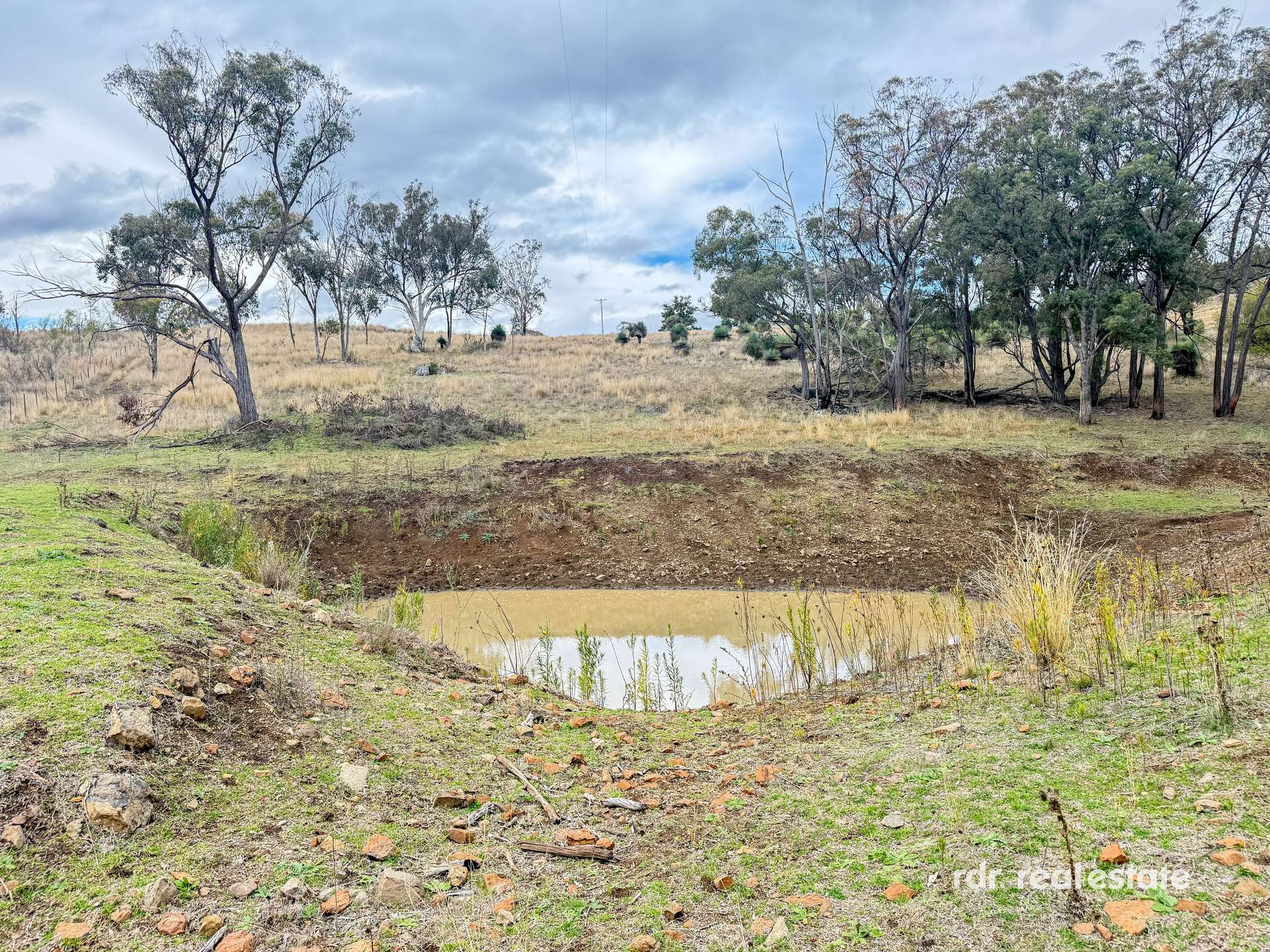 2591 Elsmore Road, Inverell For Sale by Farmbuy.com - image 14