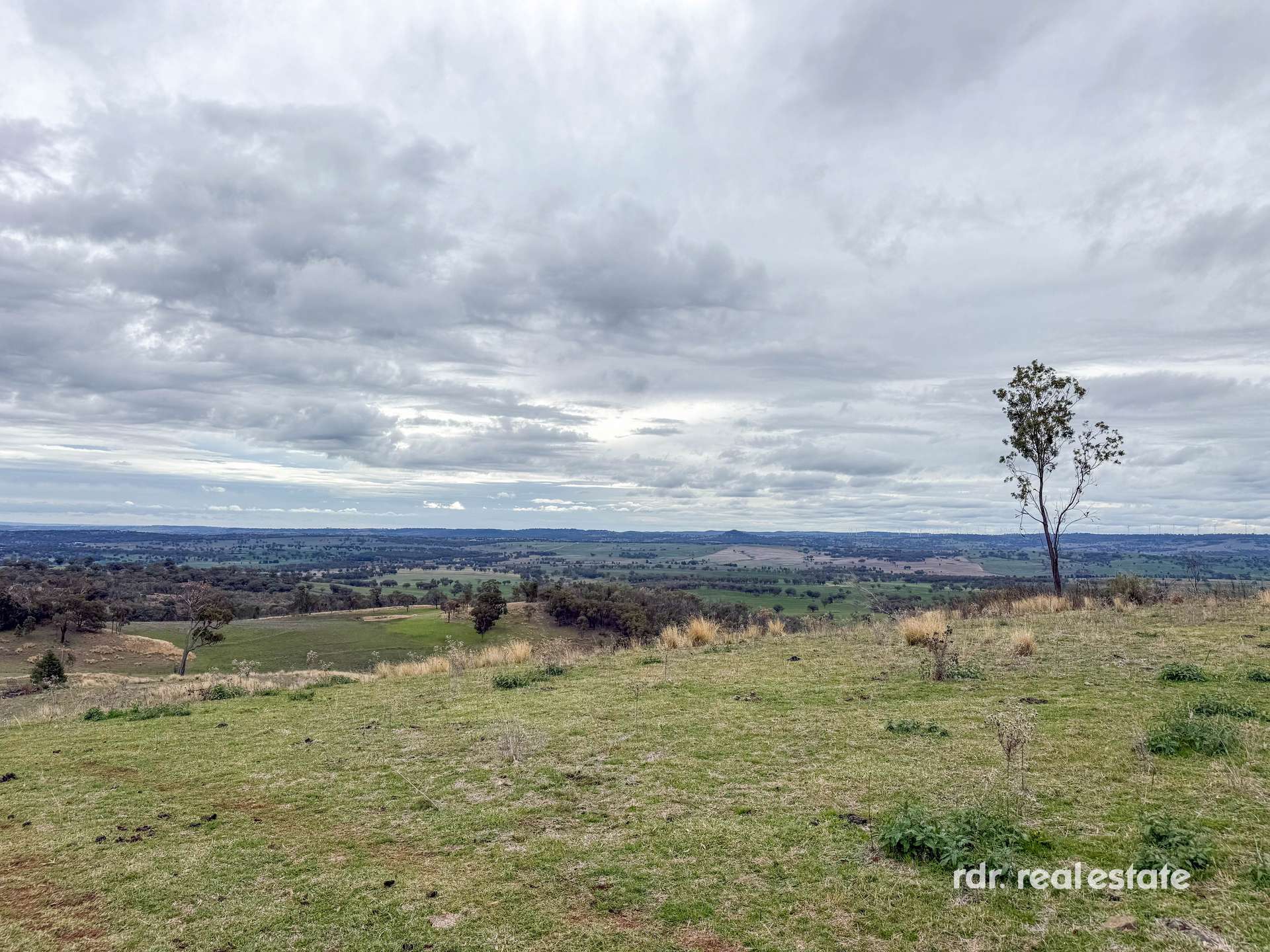 2591 Elsmore Road, Inverell For Sale by Farmbuy.com - image 21