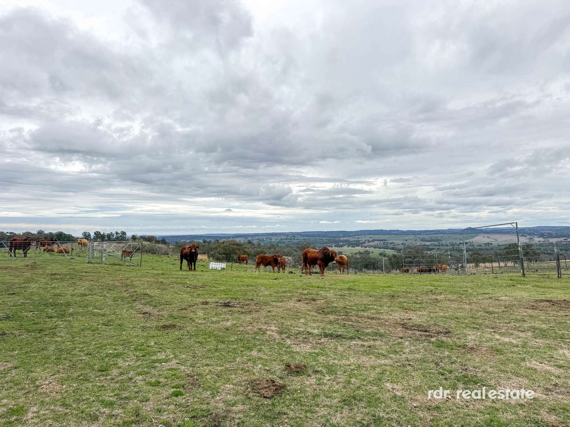 2591 Elsmore Road, Inverell For Sale by Farmbuy.com - image 20