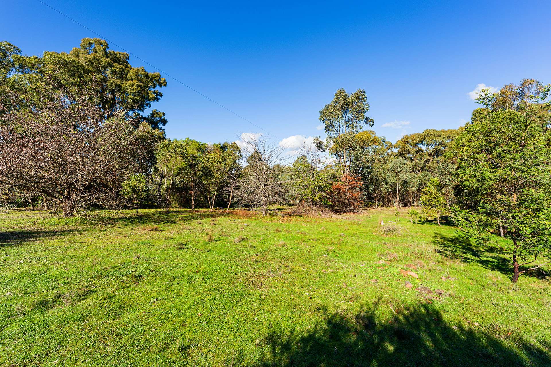 228 Bells Reef Road, Maldon For Sale by Farmbuy.com - image 8
