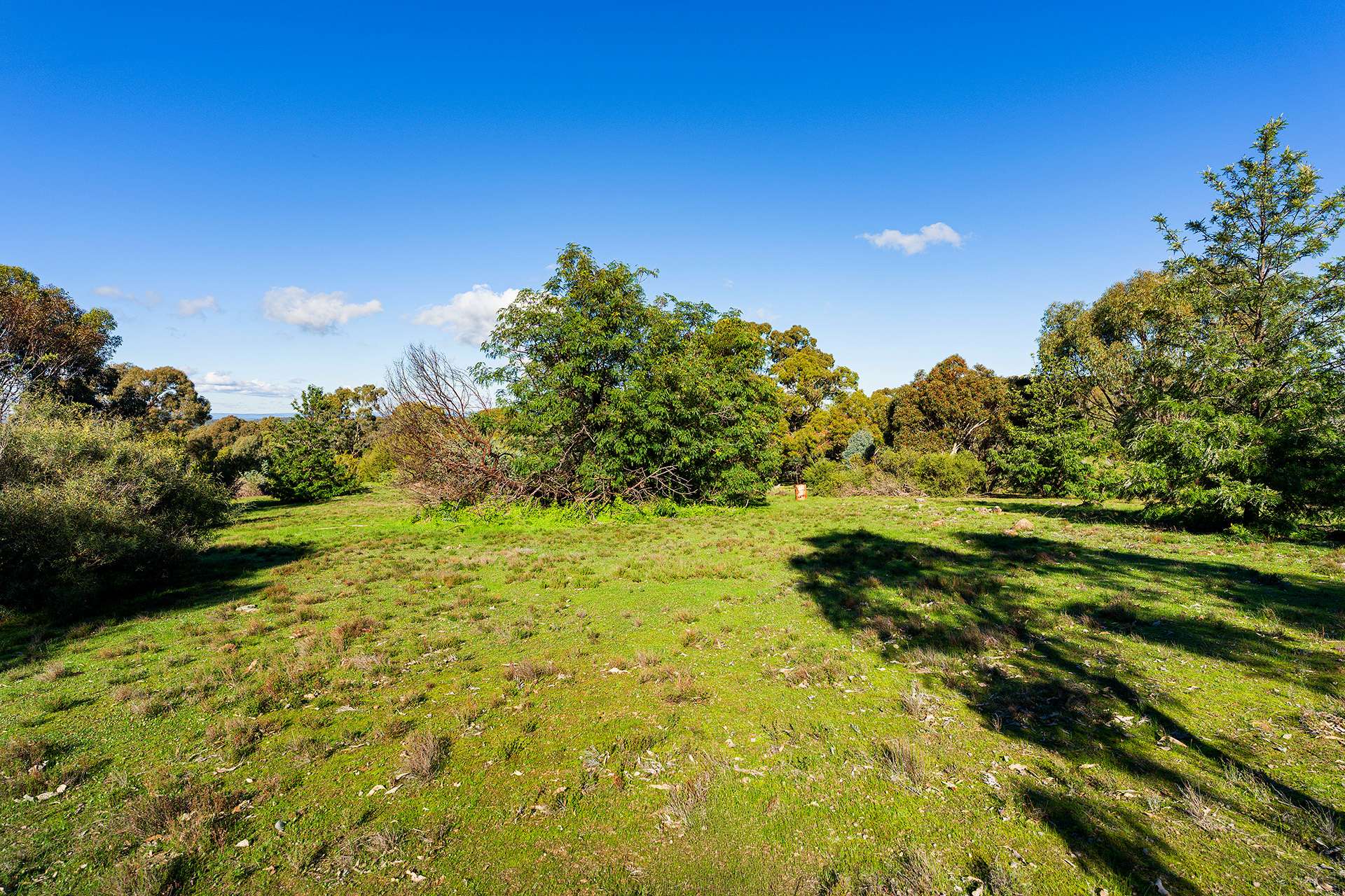 228 Bells Reef Road, Maldon For Sale by Farmbuy.com - image 11