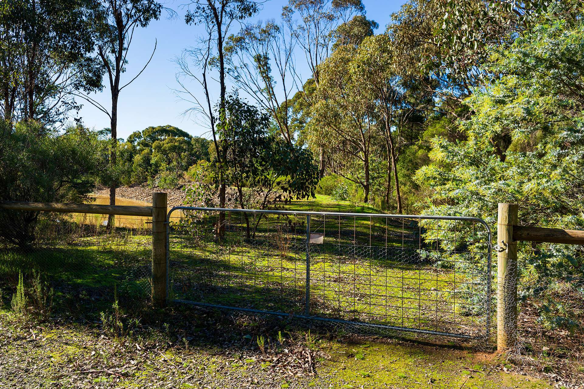 228 Bells Reef Road, Maldon For Sale by Farmbuy.com - image 4