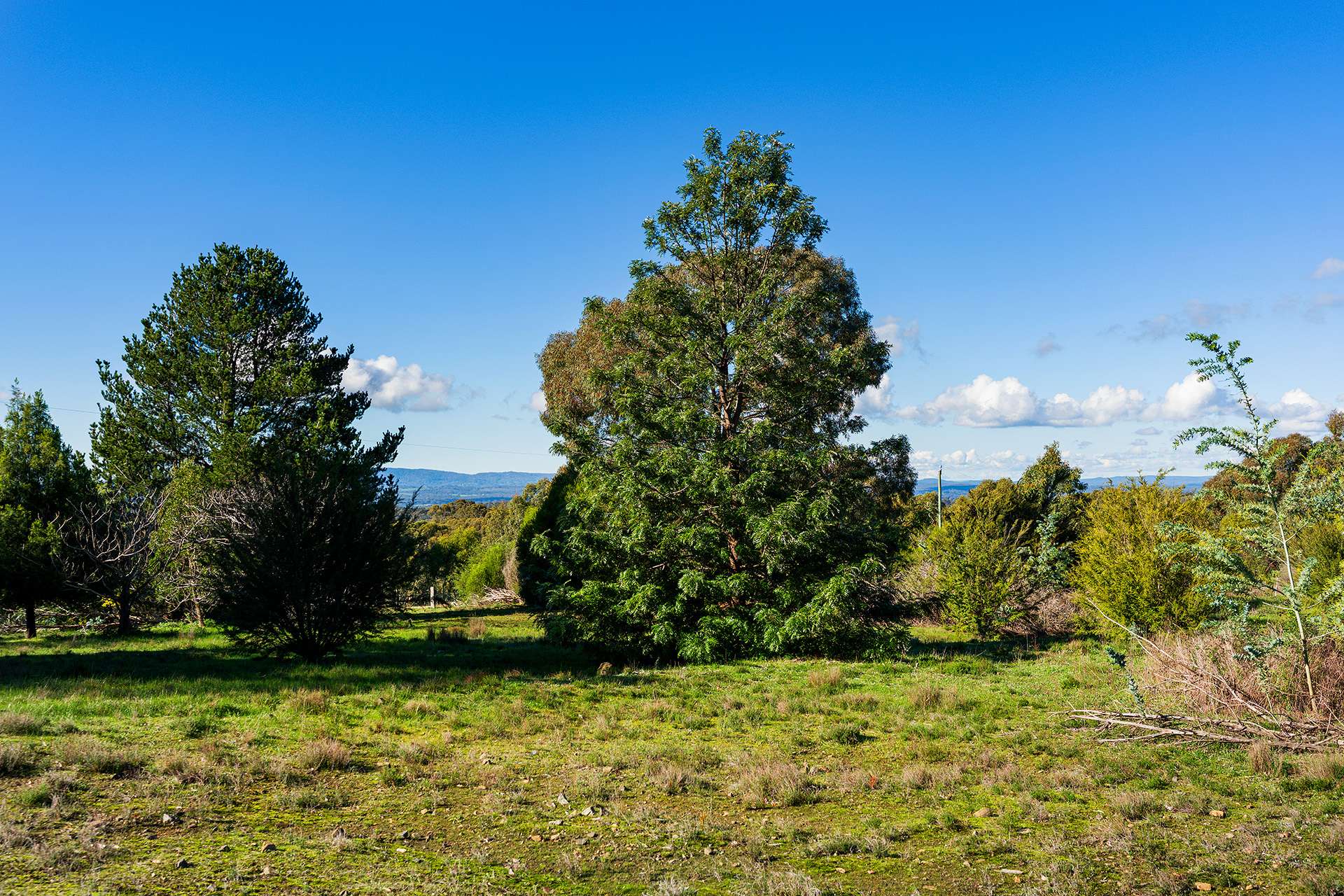 228 Bells Reef Road, Maldon For Sale by Farmbuy.com - image 9
