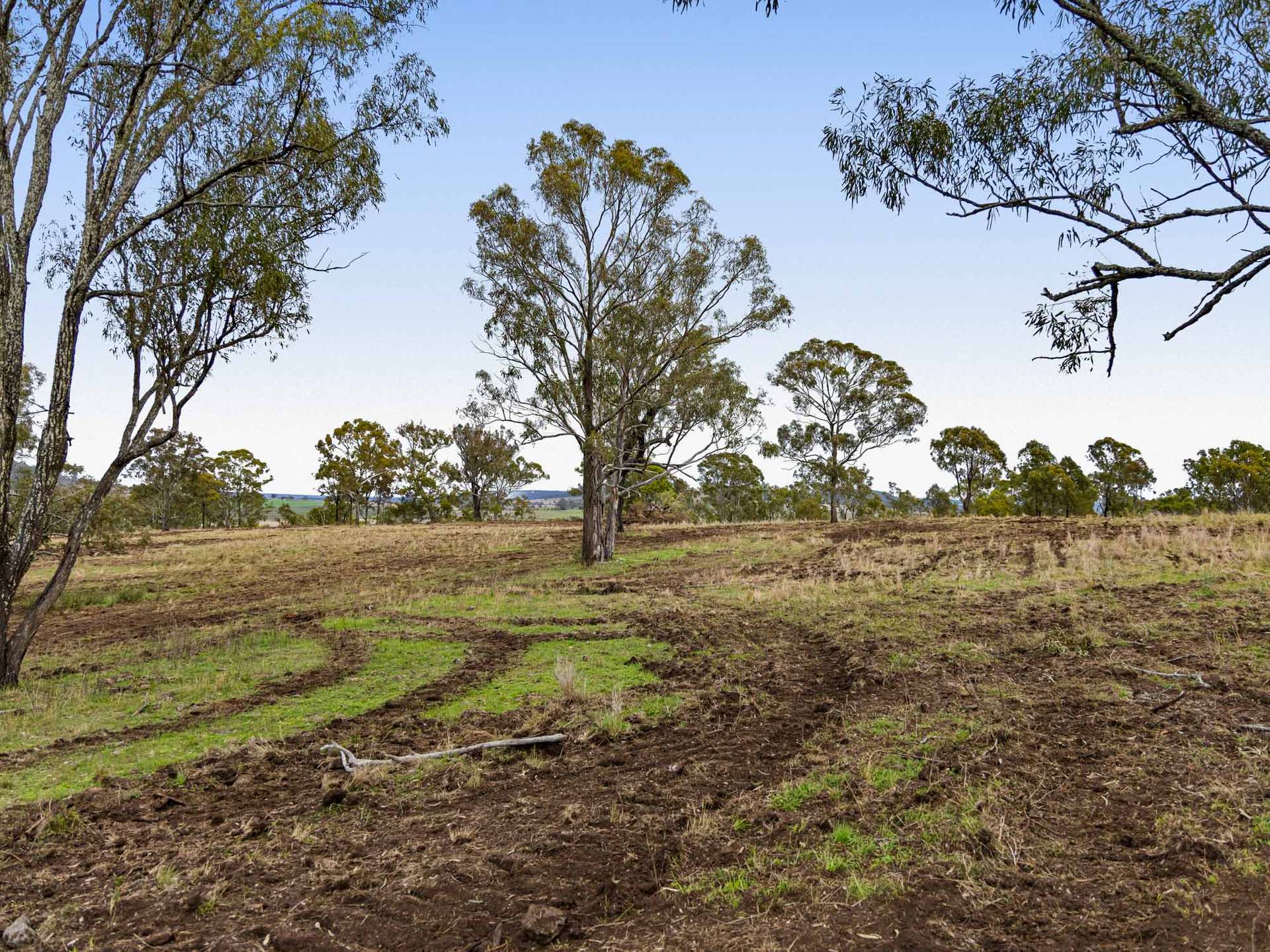 252 Green Road, Budgee For Sale by Farmbuy.com - image 9