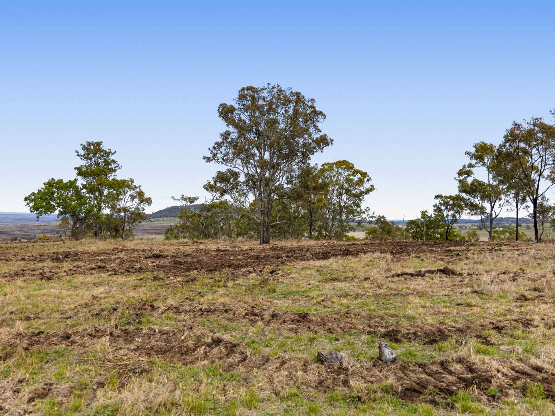 252 Green Road, Budgee For Sale by Farmbuy.com - image 7