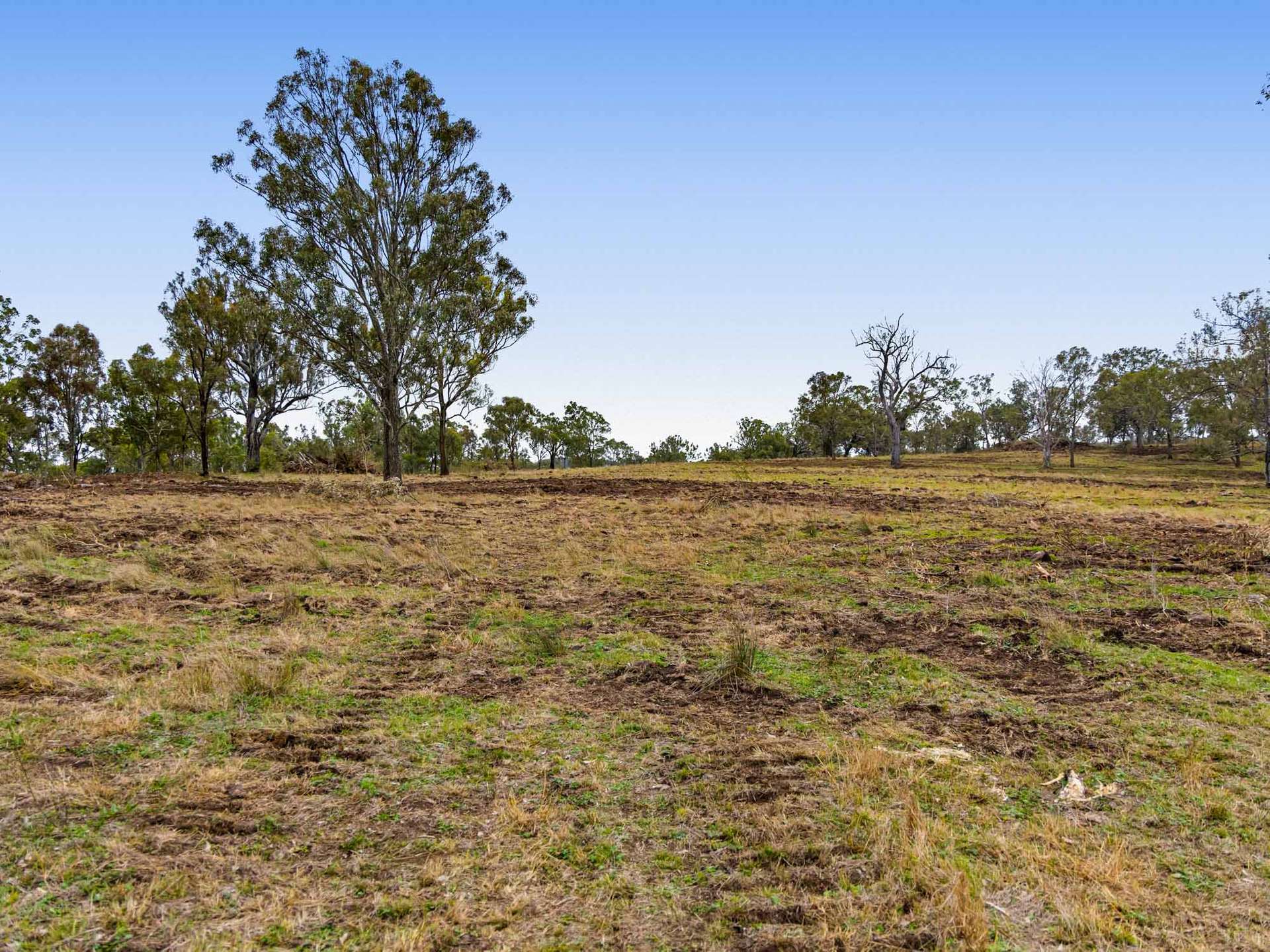 252 Green Road, Budgee For Sale by Farmbuy.com - image 19