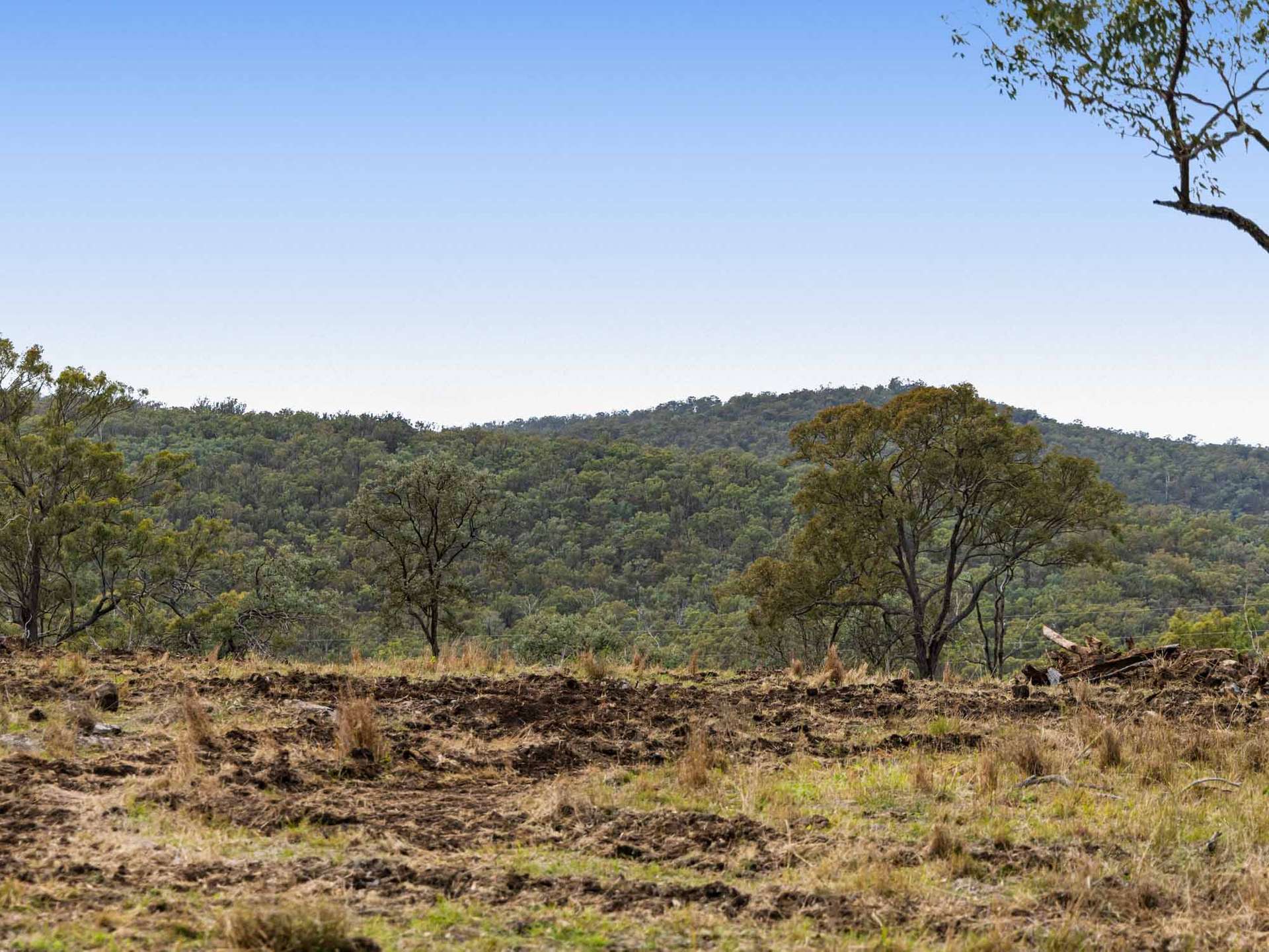 252 Green Road, Budgee For Sale by Farmbuy.com - image 10