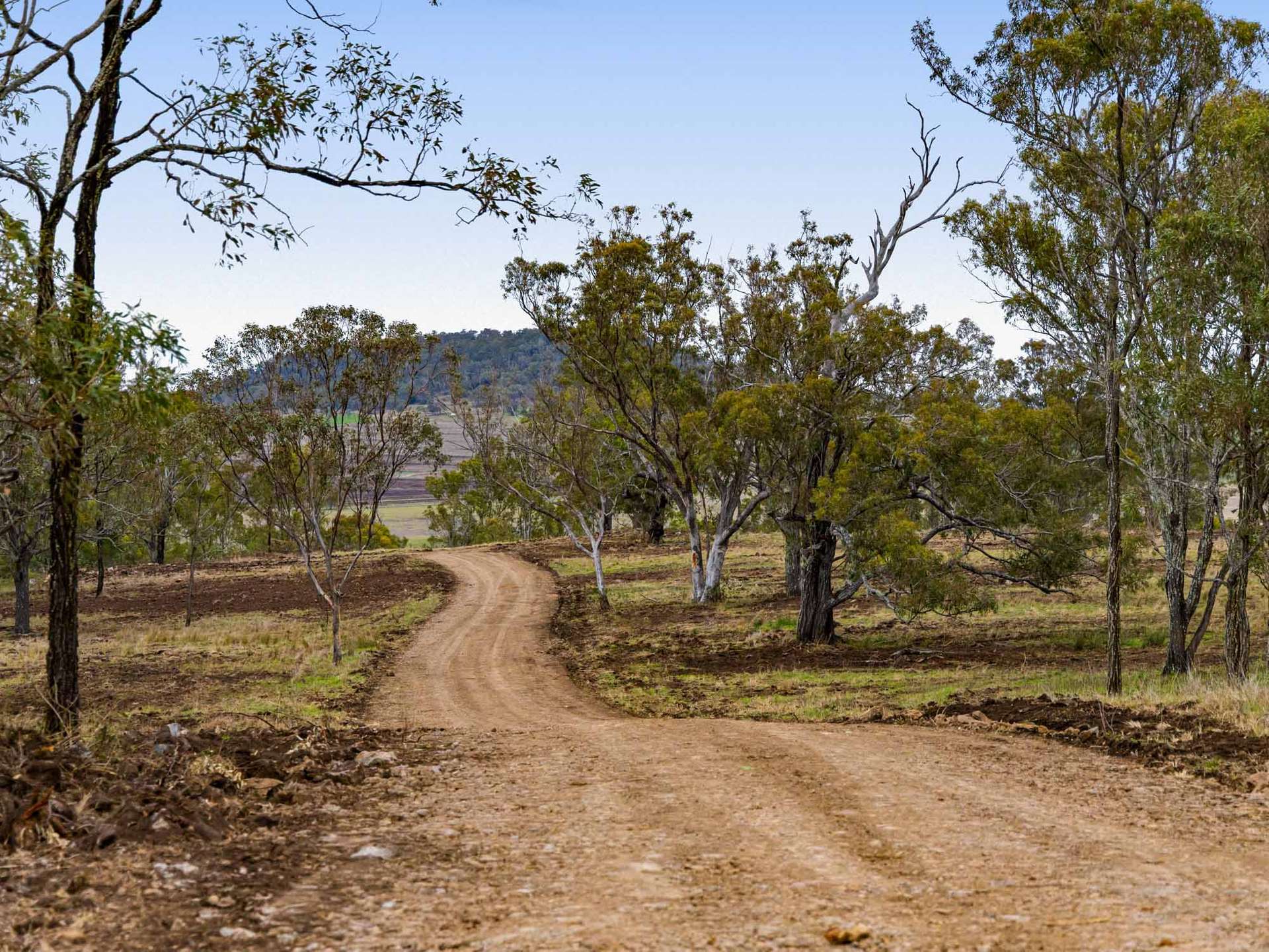 252 Green Road, Budgee For Sale by Farmbuy.com - image 21