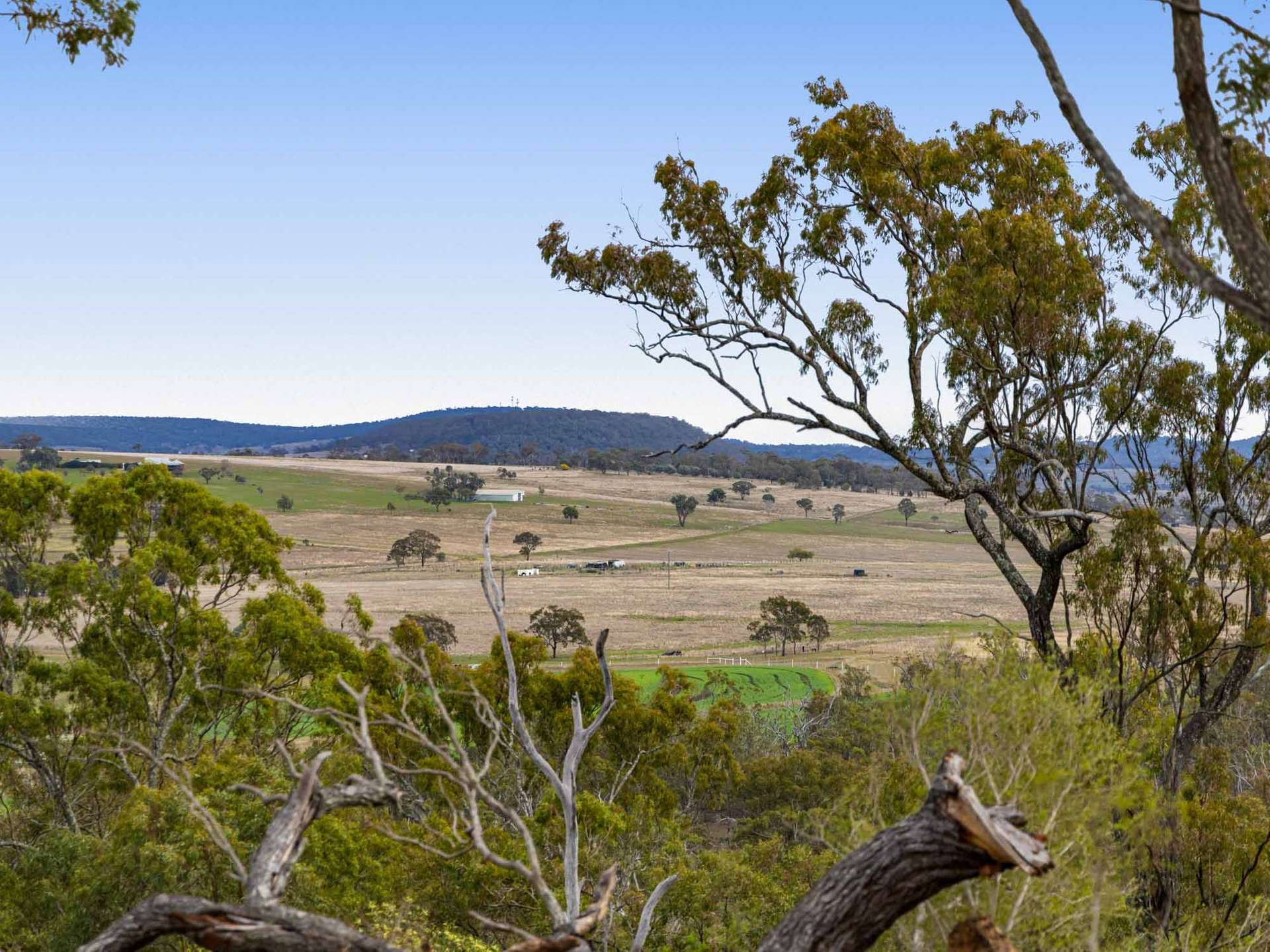 252 Green Road, Budgee For Sale by Farmbuy.com - image 5