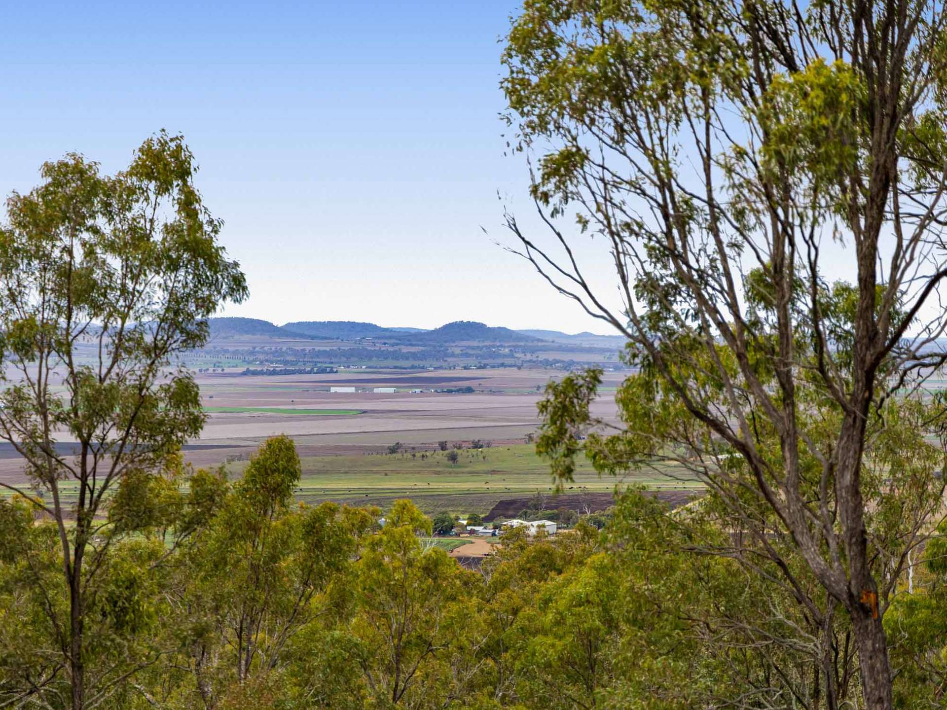 252 Green Road, Budgee For Sale by Farmbuy.com - image 14