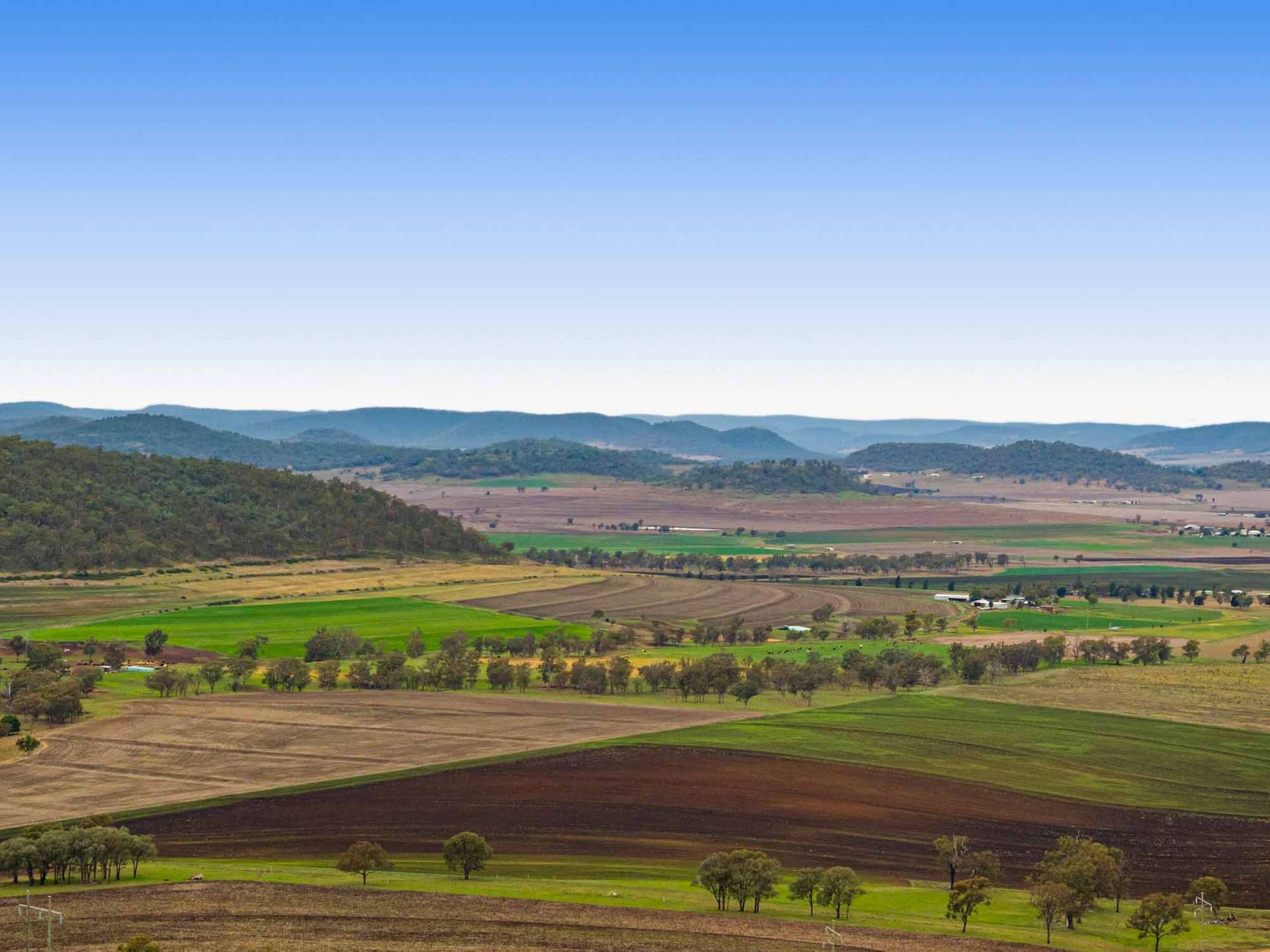 252 Green Road, Budgee For Sale by Farmbuy.com - image 4