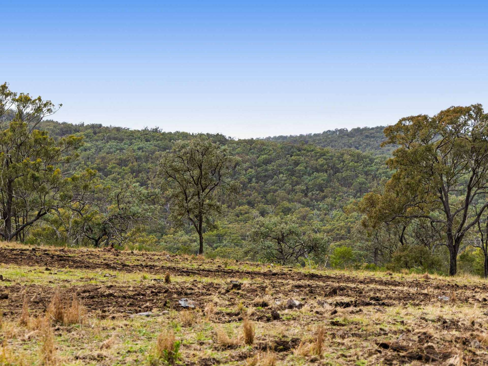 252 Green Road, Budgee For Sale by Farmbuy.com - image 11