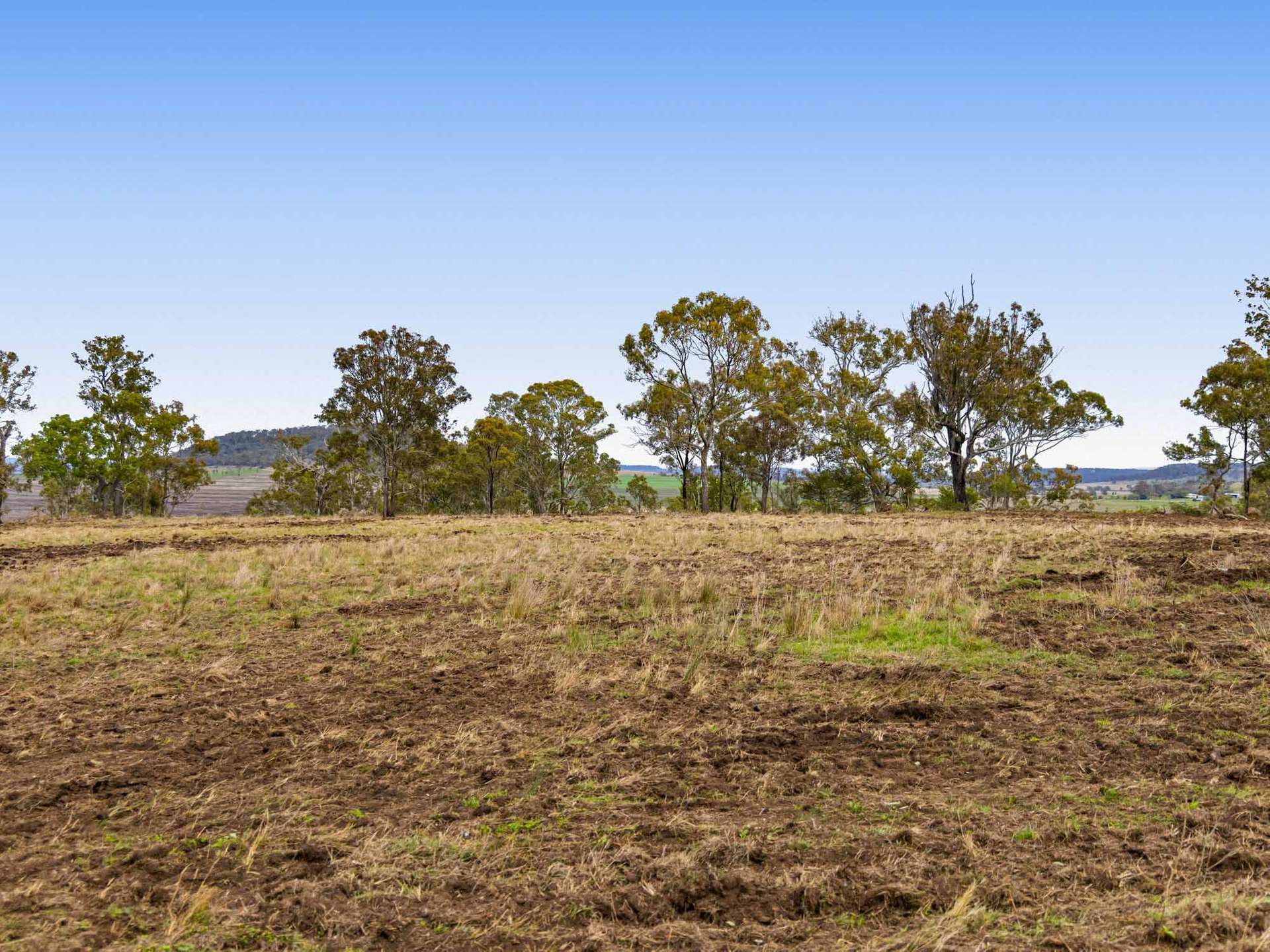 252 Green Road, Budgee For Sale by Farmbuy.com - image 8