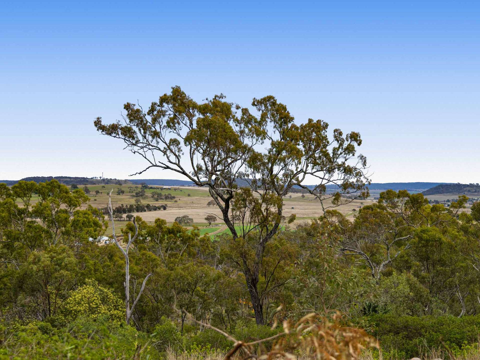252 Green Road, Budgee For Sale by Farmbuy.com - image 6