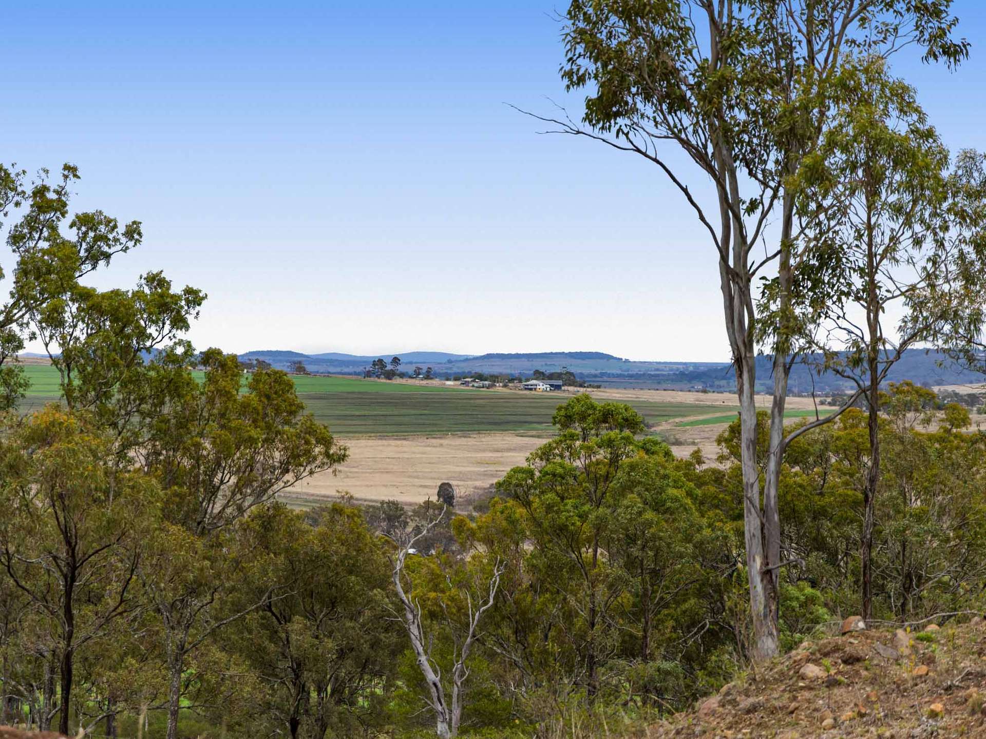 252 Green Road, Budgee For Sale by Farmbuy.com - image 15