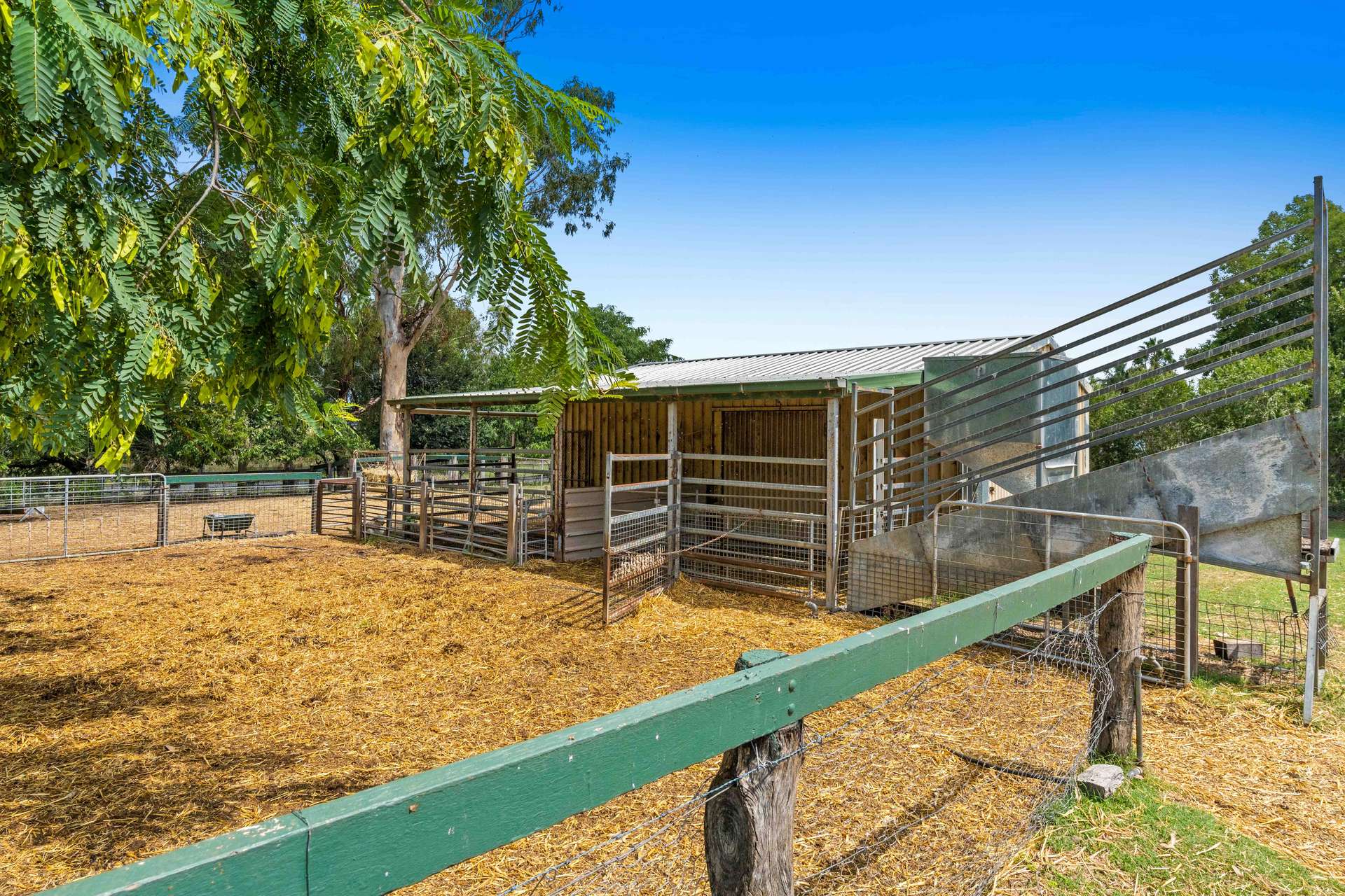 54 Lorrimer Street, Oakey For Sale by Farmbuy.com - image 26