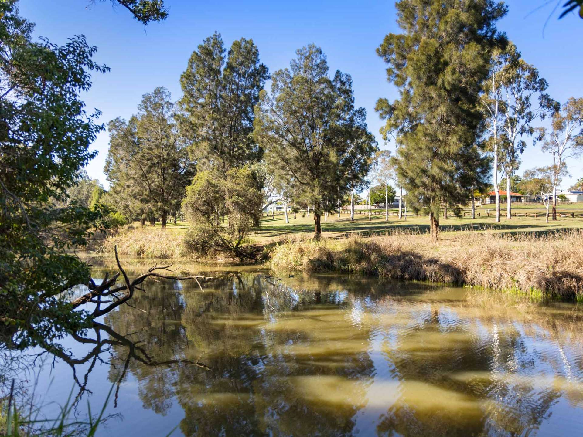 54 Lorrimer Street, Oakey For Sale by Farmbuy.com - image 25