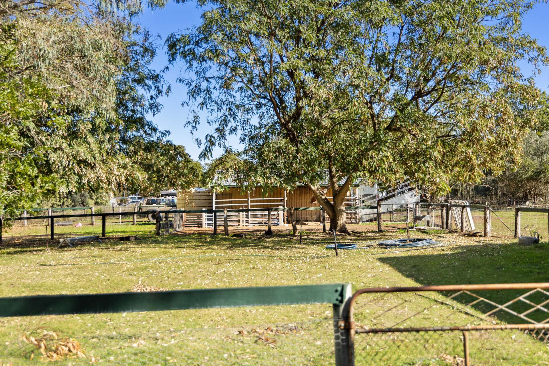 54 Lorrimer Street, Oakey For Sale by Farmbuy.com - image 3